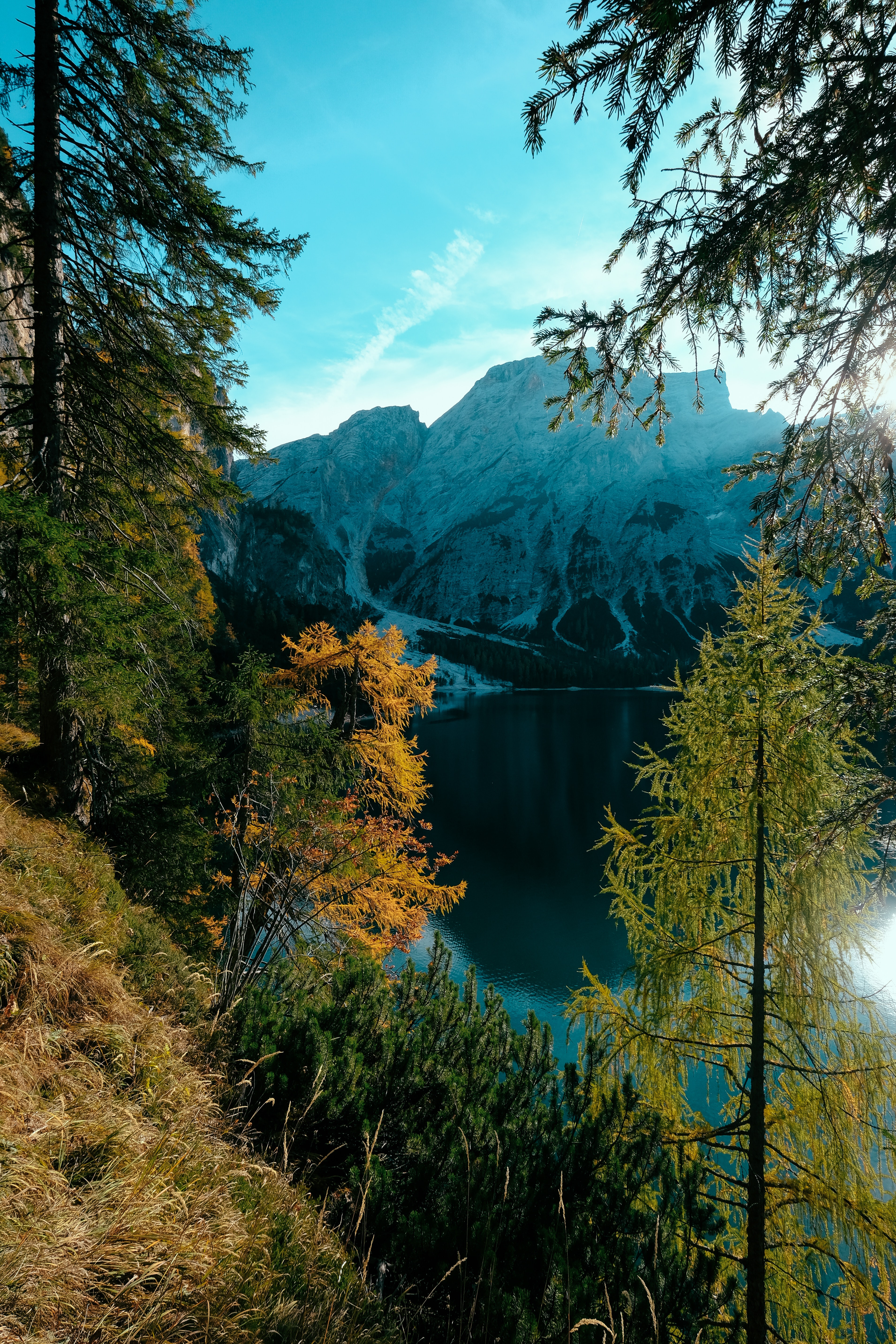 PCデスクトップに湖, ブランチ, 自然, 枝, 雲, 木, 山脈, スカイ画像を無料でダウンロード