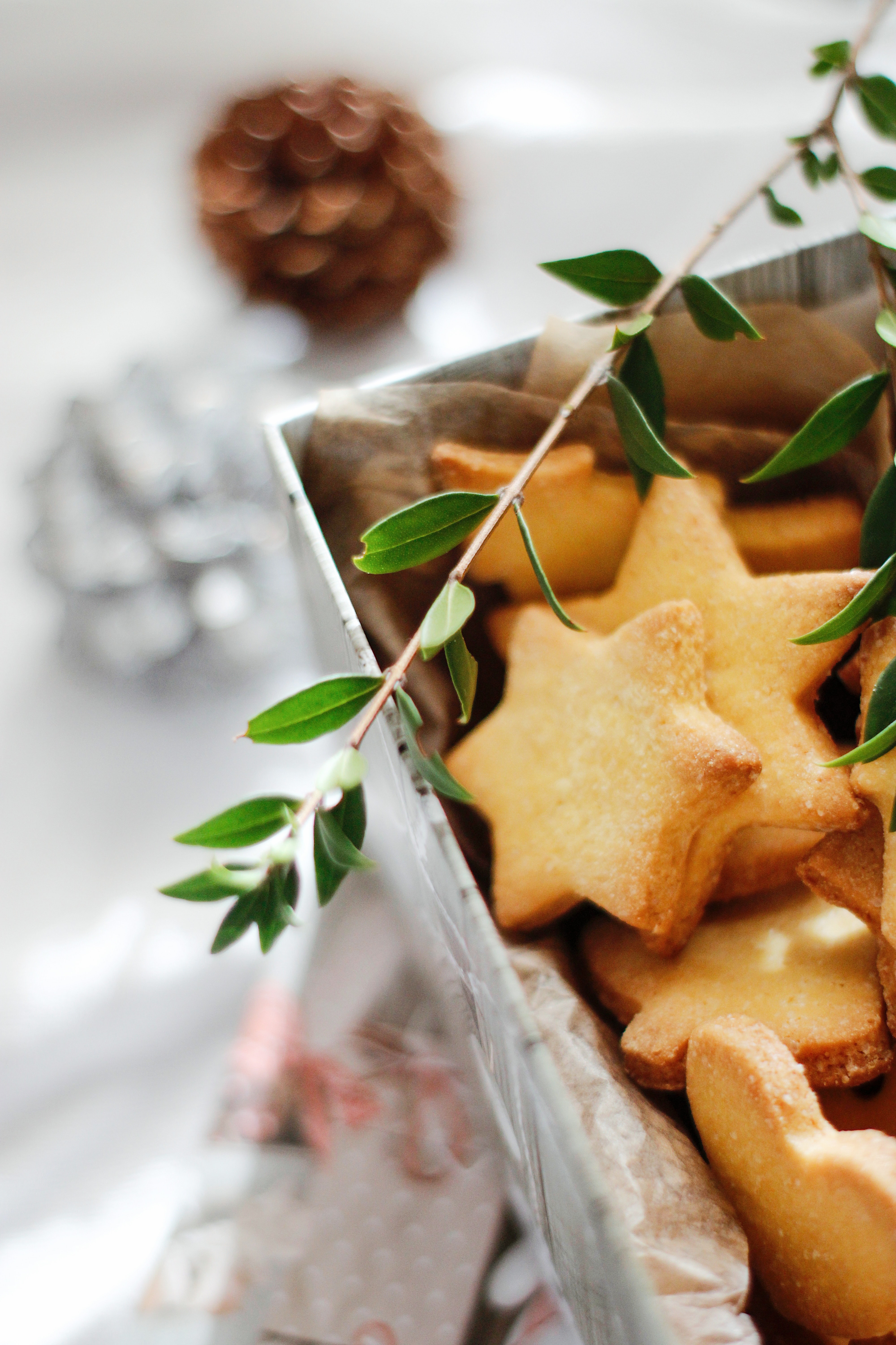 Download mobile wallpaper Branch, Food, Stars, Desert, Bakery Products, Baking, Cookies for free.