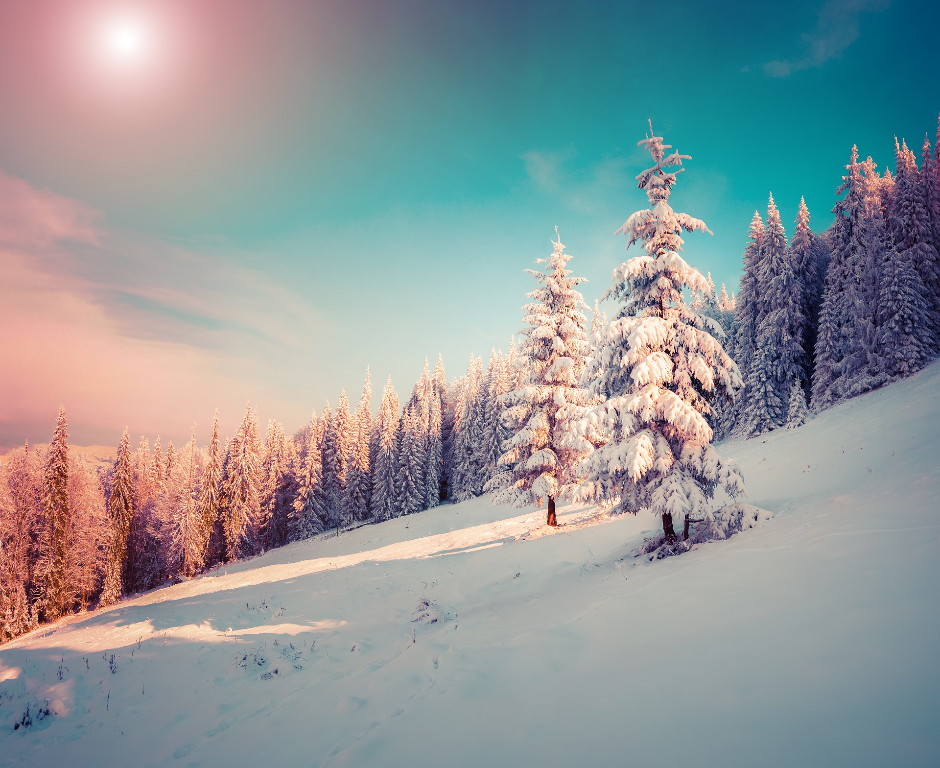 Download mobile wallpaper Winter, Nature, Sky, Snow, Forest, Tree, Earth for free.