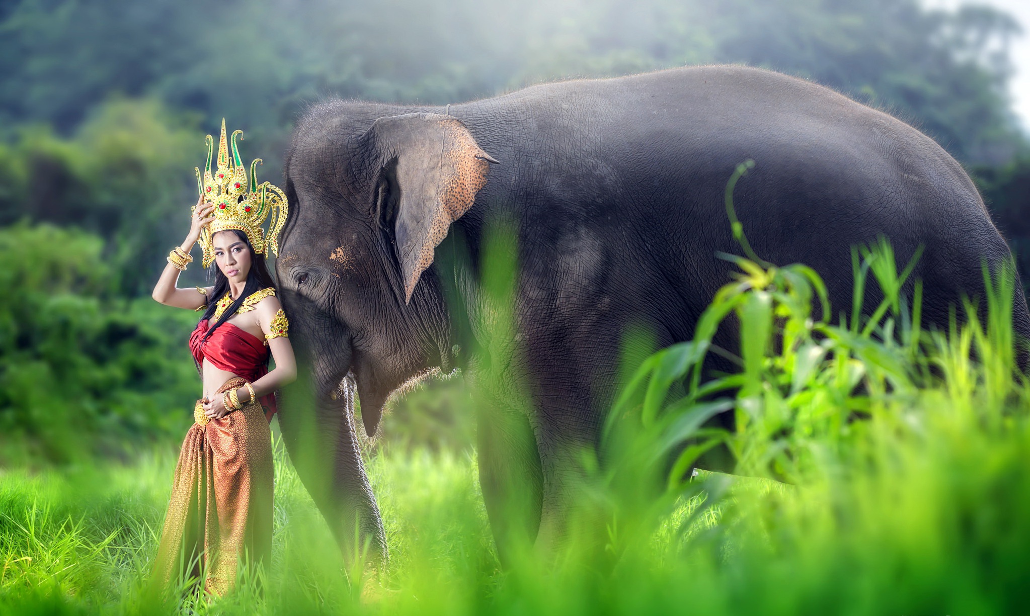 Descarga gratuita de fondo de pantalla para móvil de Morena, Elefante, Modelo, Mujeres, Asiática, Disfraz Tradicional, Tailandés.