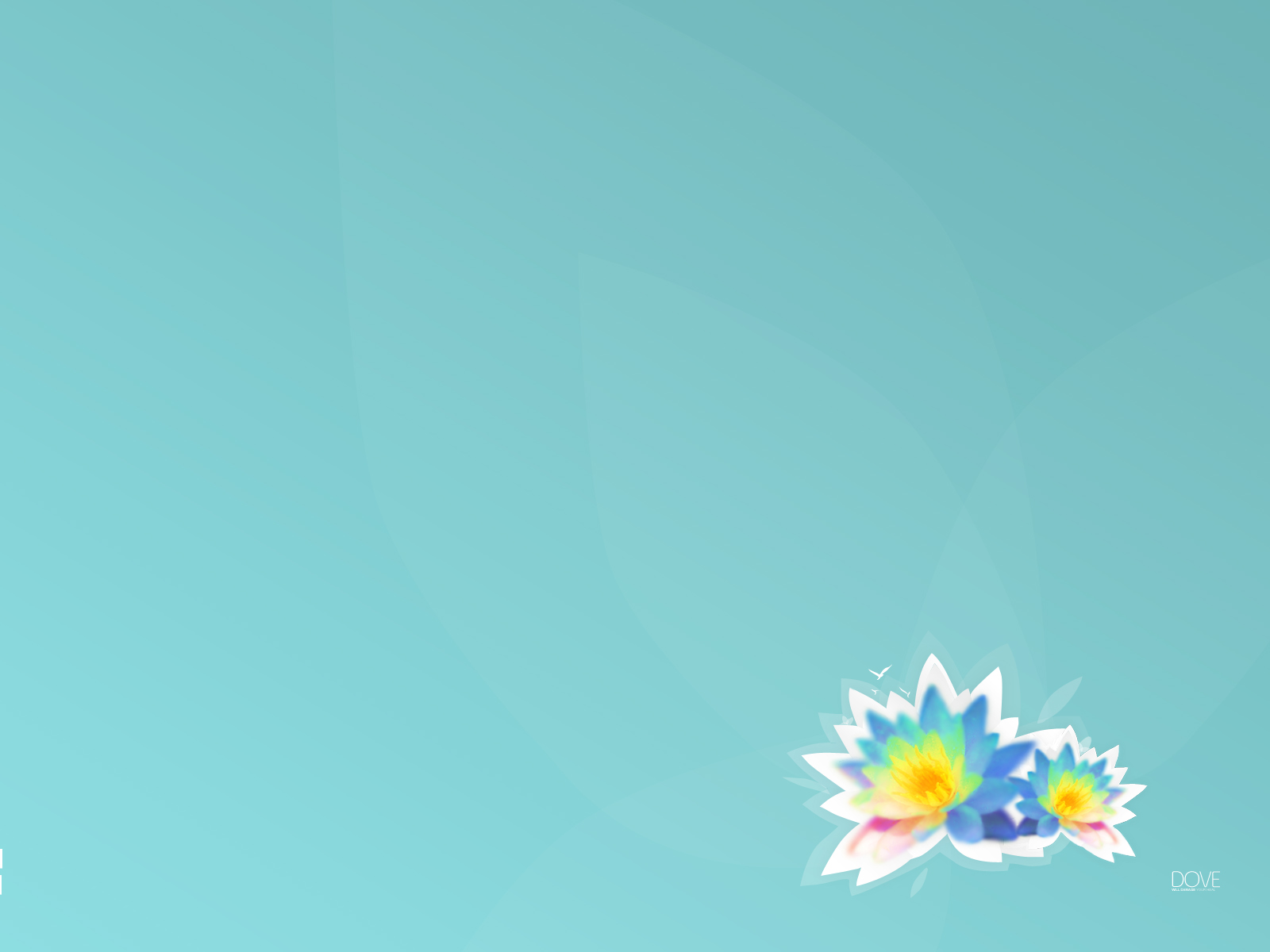 Free download wallpaper Vector, Flower, Artistic on your PC desktop