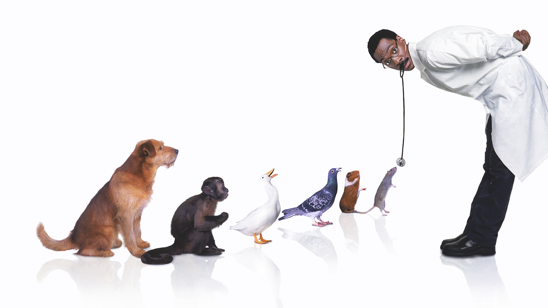 Laden Sie Dr Dolittle HD-Desktop-Hintergründe herunter