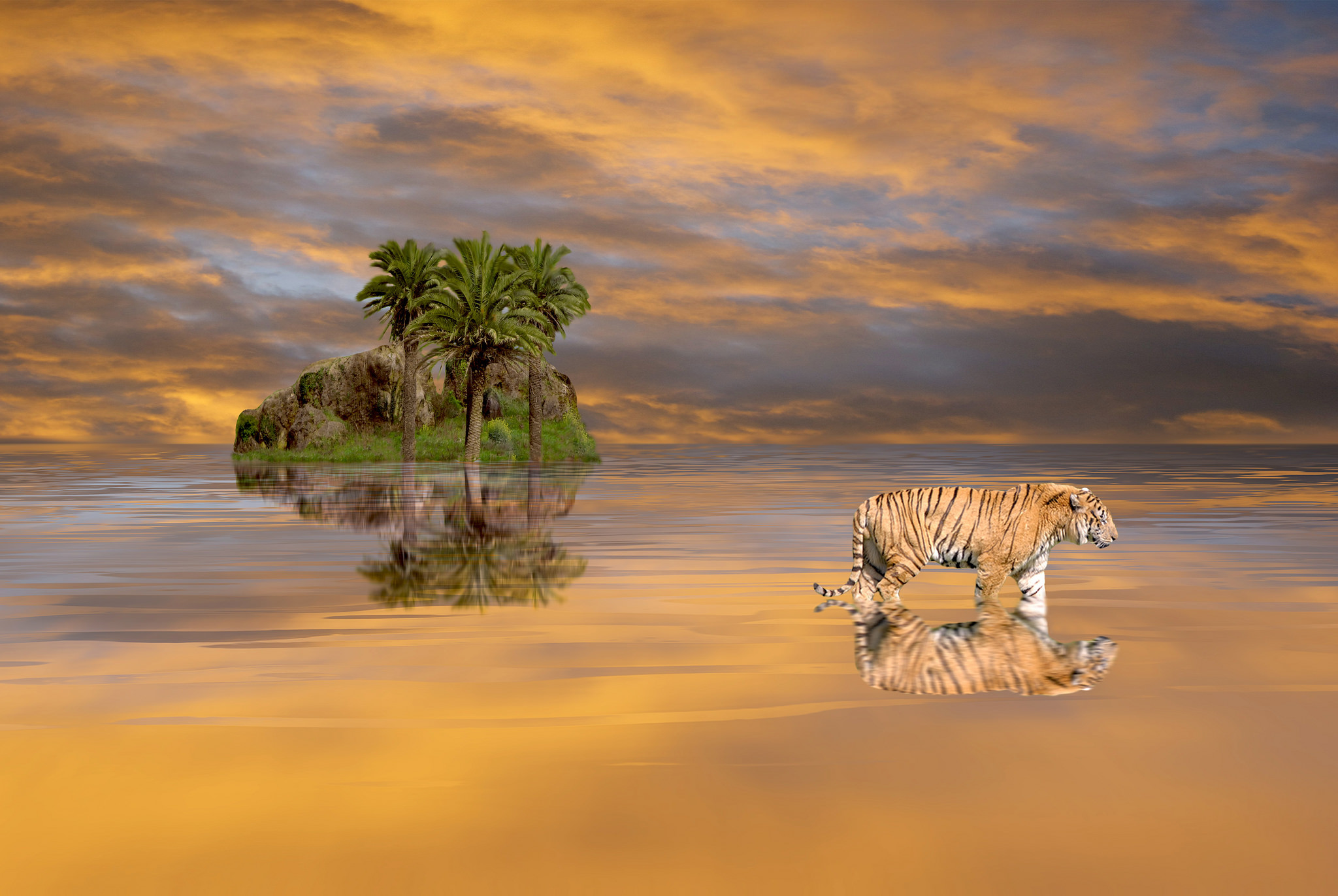 Download mobile wallpaper Fantasy, Beach, Ocean, Tiger, Tropical, Palm Tree, Fantasy Animals for free.