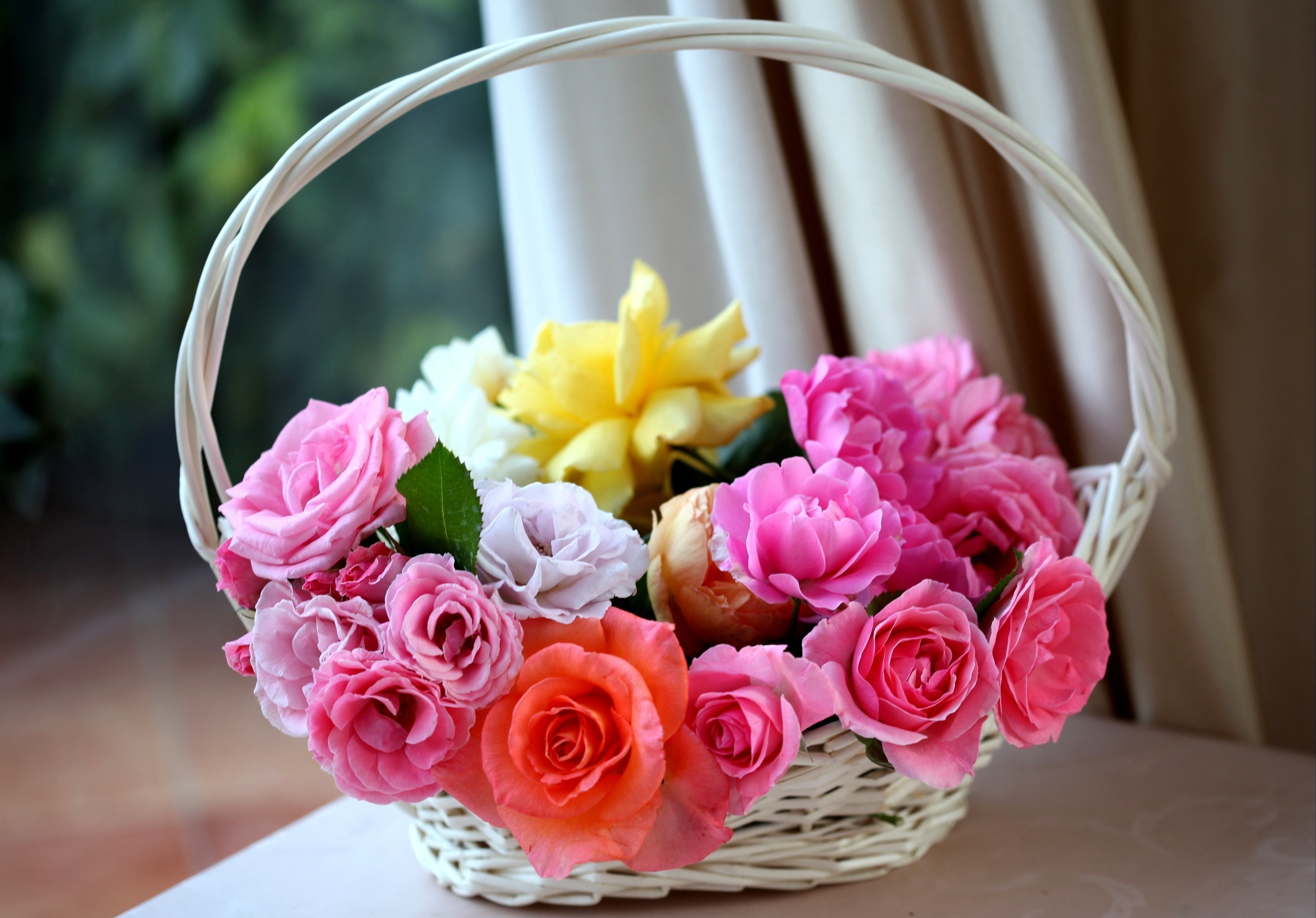 basket, roses, flowers, buds, charm, lukoshko Full HD