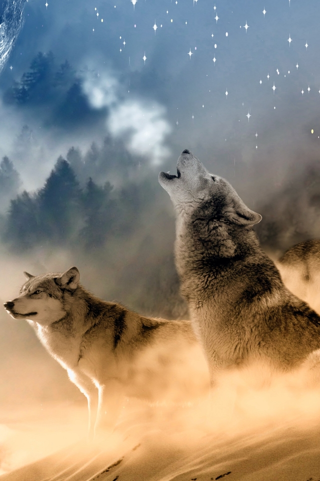 無料モバイル壁紙動物, オオカミ, ファンタジー, 月, 狼をダウンロードします。