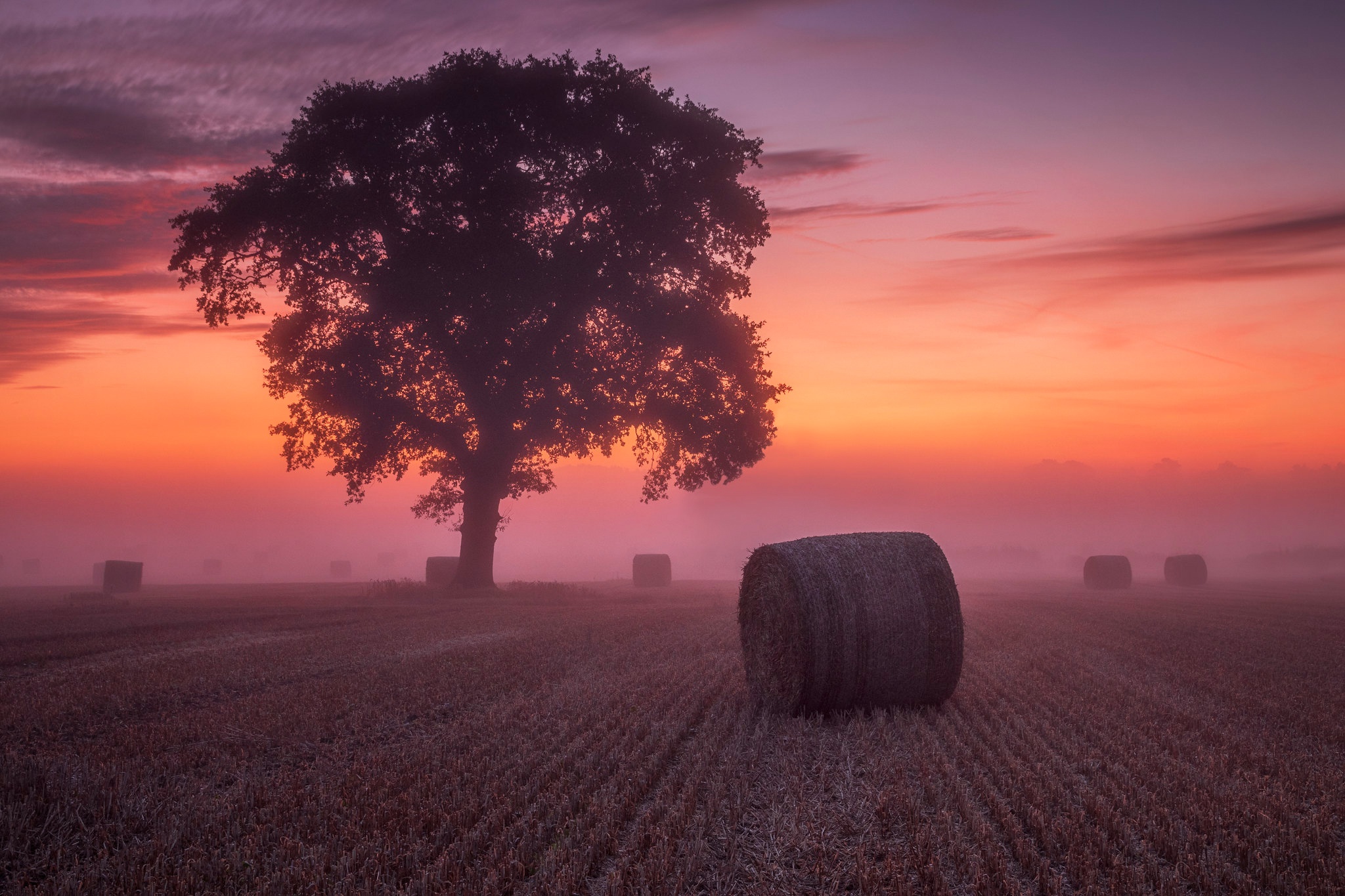 Free download wallpaper Sunset, Tree, Fog, Earth, Field, Haystack on your PC desktop