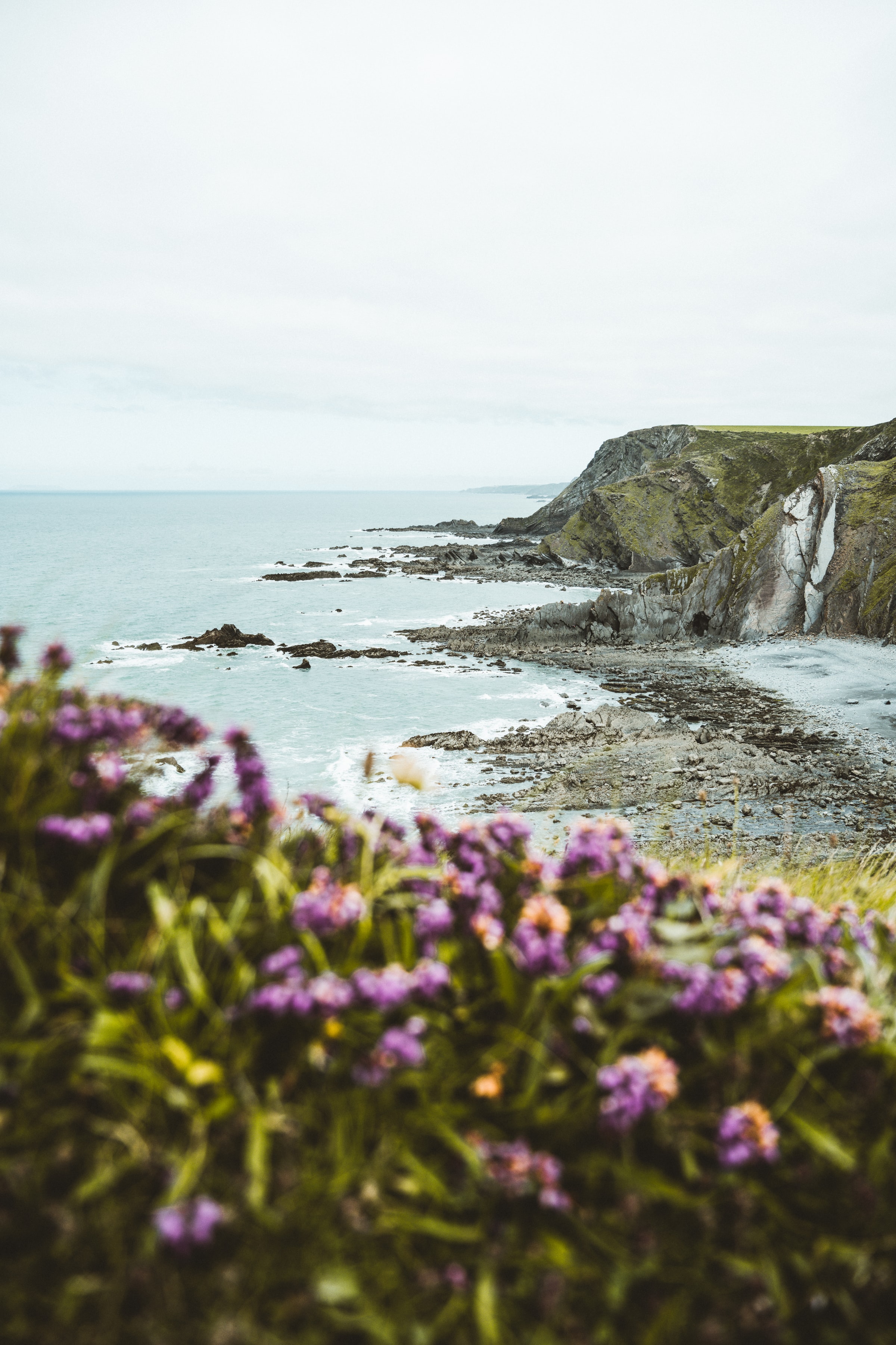 Free download wallpaper Nature, Flowers, Rocks, Horizon, Coast, Cliff, Sea on your PC desktop