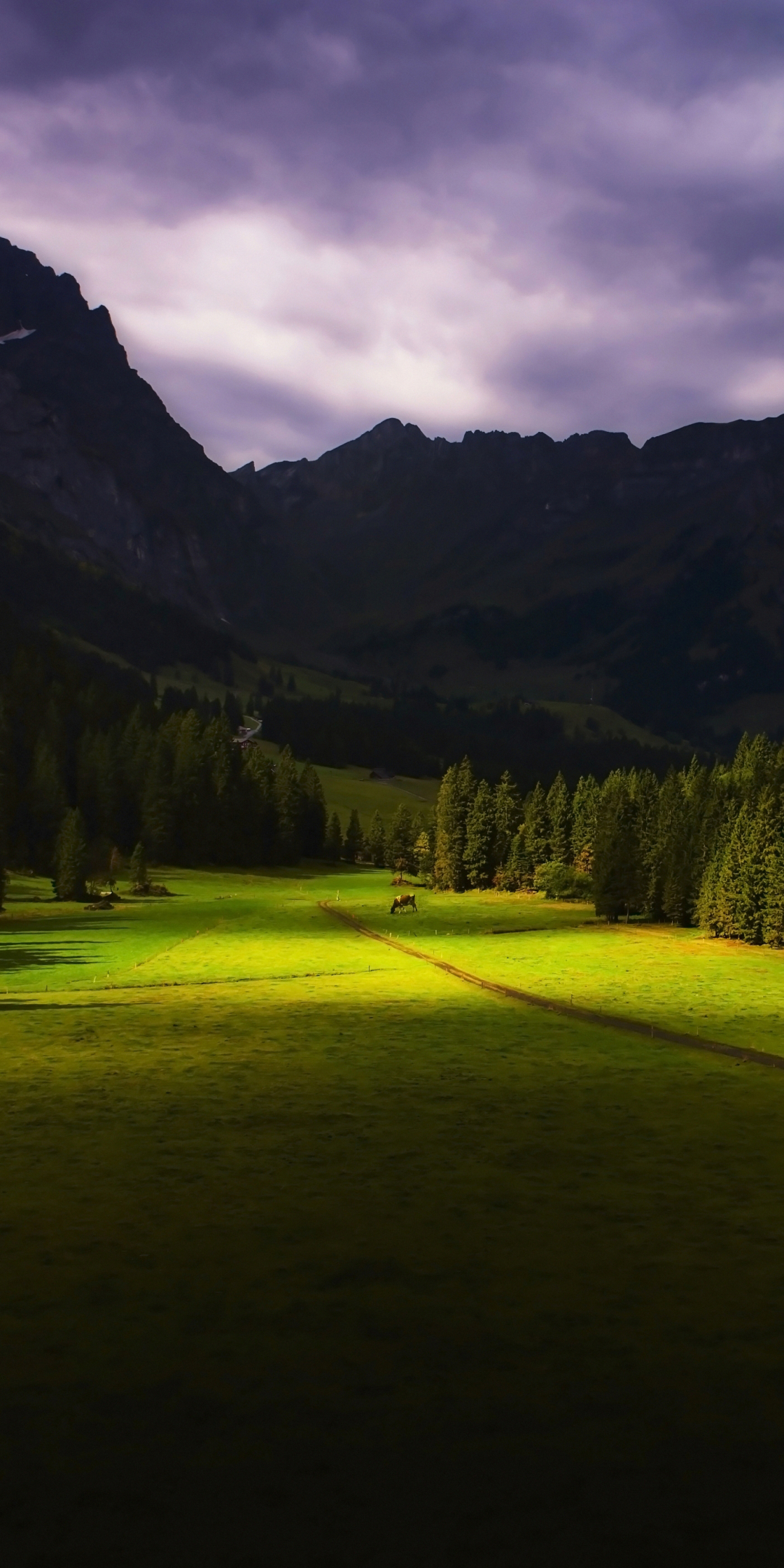 Handy-Wallpaper Landschaft, Natur, Schweiz, Erde/natur kostenlos herunterladen.