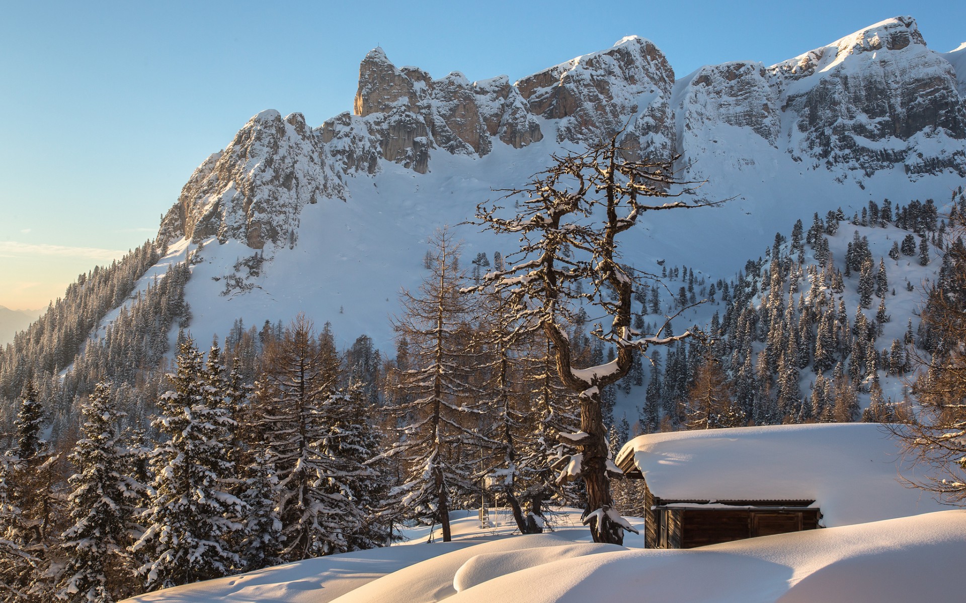 Laden Sie das Winter, Fotografie-Bild kostenlos auf Ihren PC-Desktop herunter