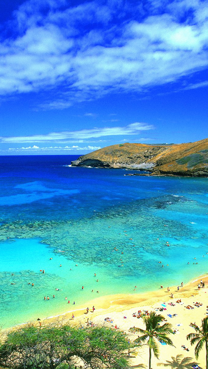 Download mobile wallpaper Sea, Beach, Horizon, Ocean, Hawaii, Photography, Palm Tree for free.