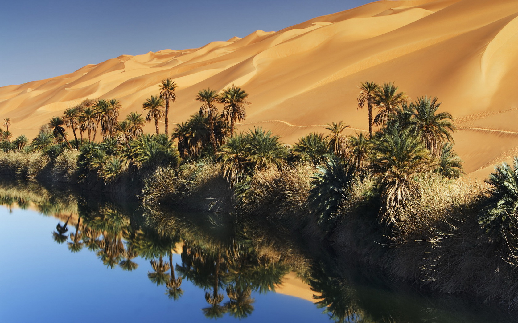 Descarga gratuita de fondo de pantalla para móvil de Desierto, Tierra/naturaleza.