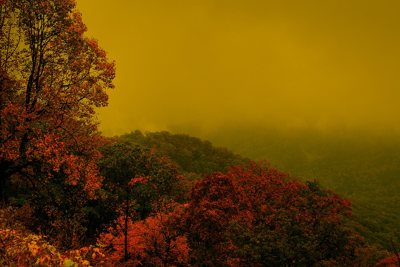 Handy-Wallpaper Szene, Erde/natur kostenlos herunterladen.