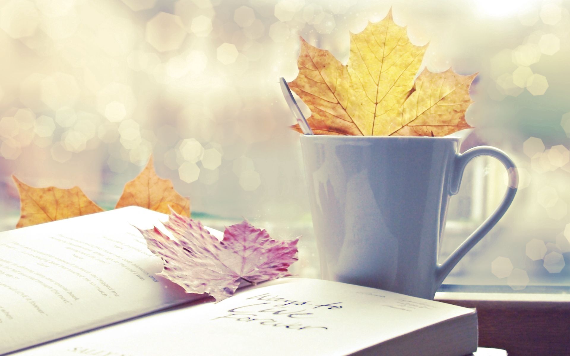 book, nature, autumn, cup, sheet, leaf Full HD