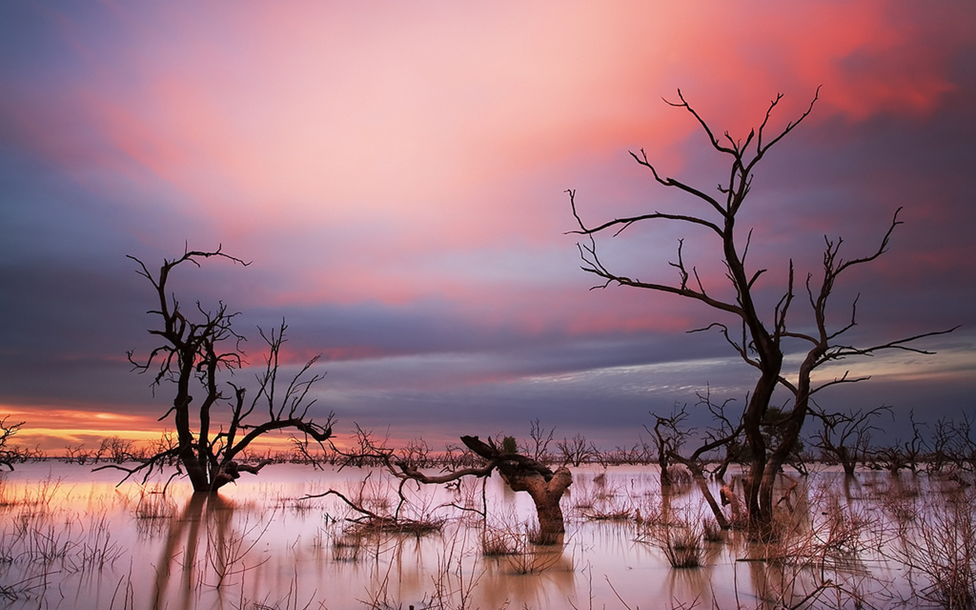 Descarga gratis la imagen Paisaje, Tierra/naturaleza en el escritorio de tu PC