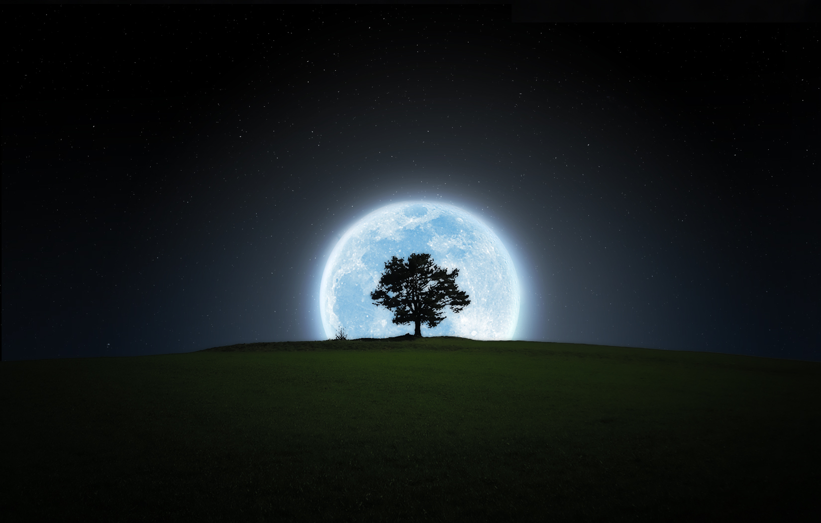 164790壁紙のダウンロード地球, 木, シルエット, 月, 夜-スクリーンセーバーと写真を無料で