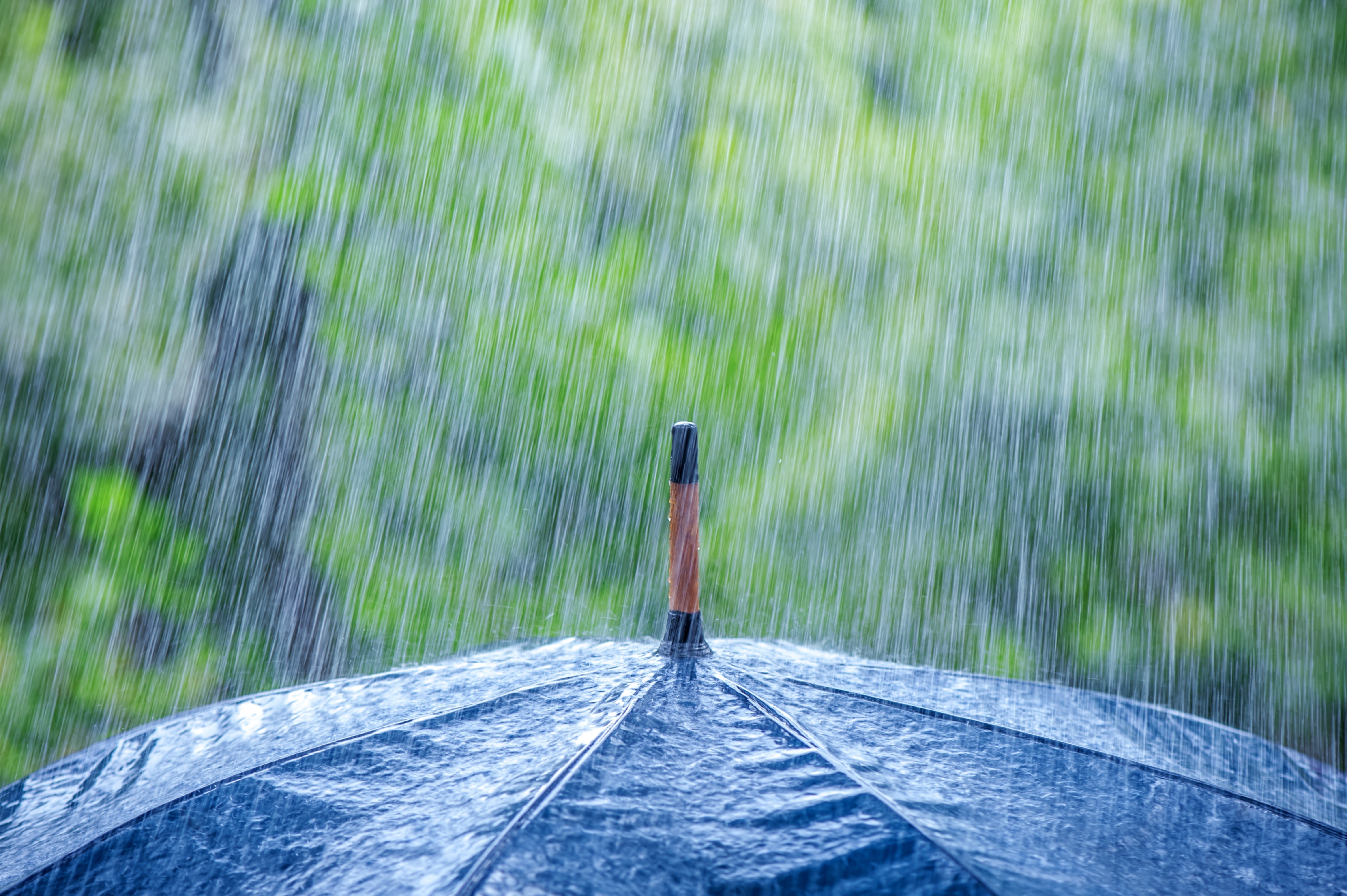 Laden Sie das Regen, Regenschirm, Fotografie-Bild kostenlos auf Ihren PC-Desktop herunter