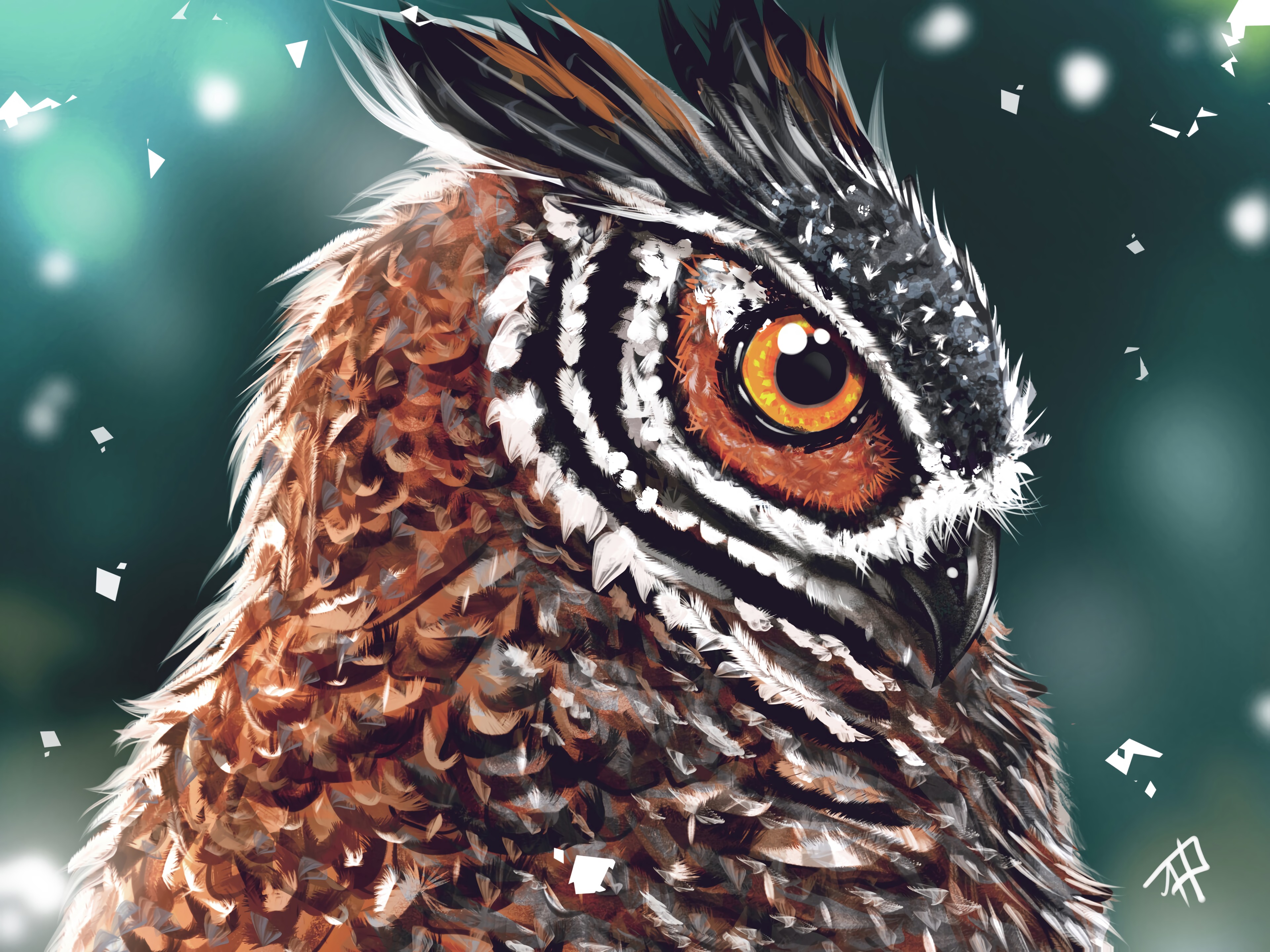 head, art, owl, bird, beak, eye HD wallpaper