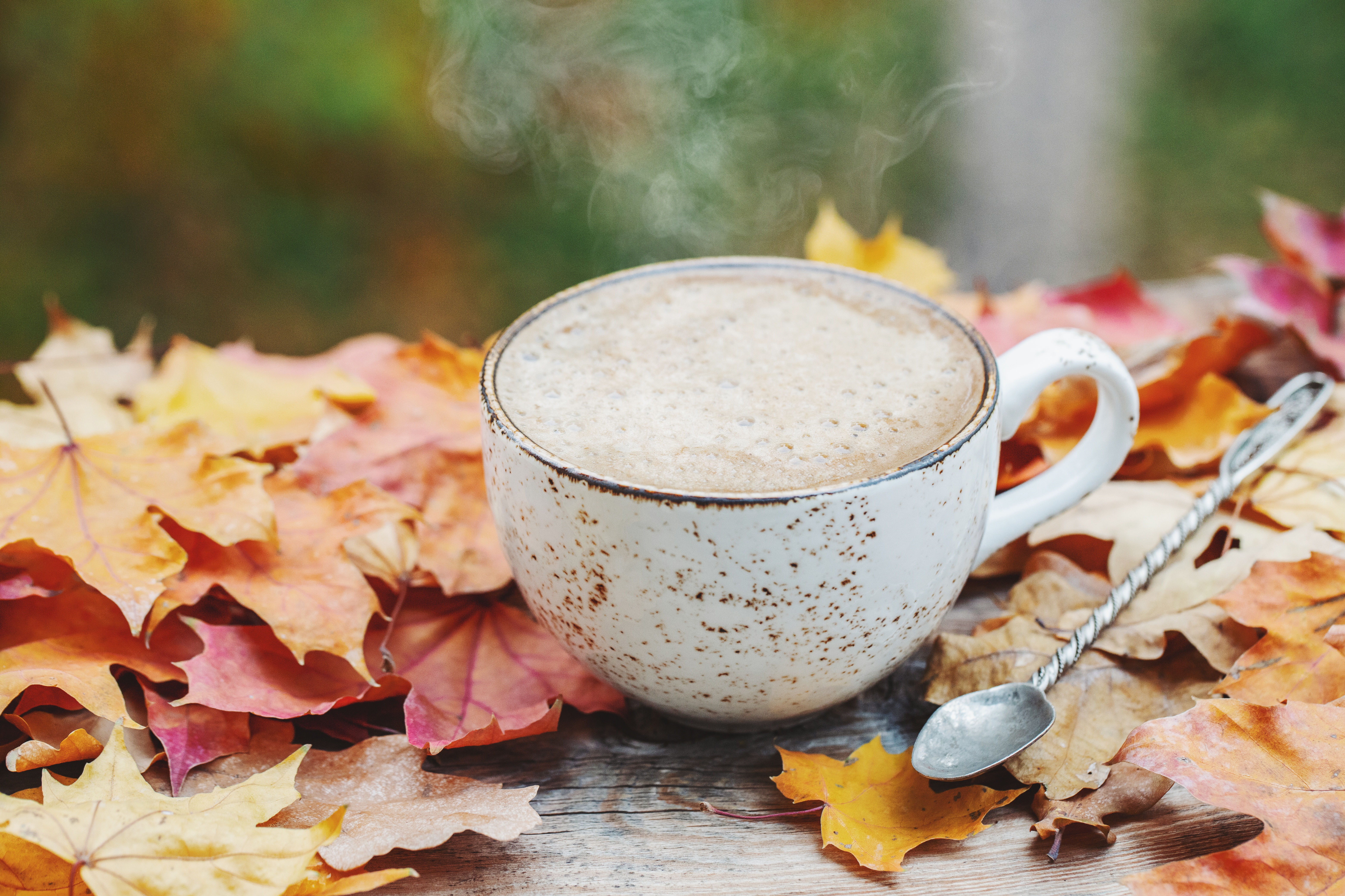Free download wallpaper Food, Coffee, Still Life, Cup, Leaf, Fall on your PC desktop