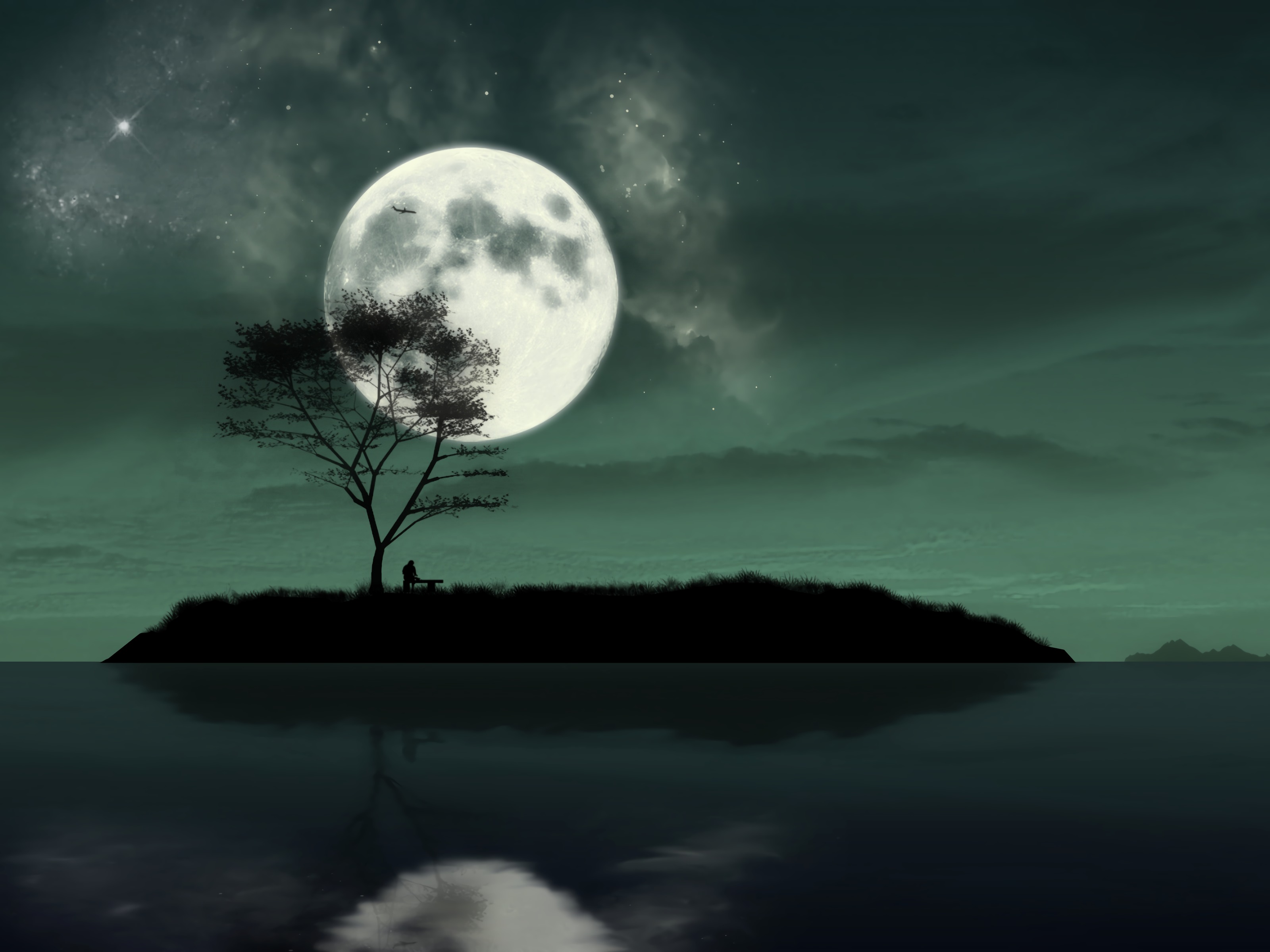 island, art, night, moon, silhouette, loneliness desktop HD wallpaper