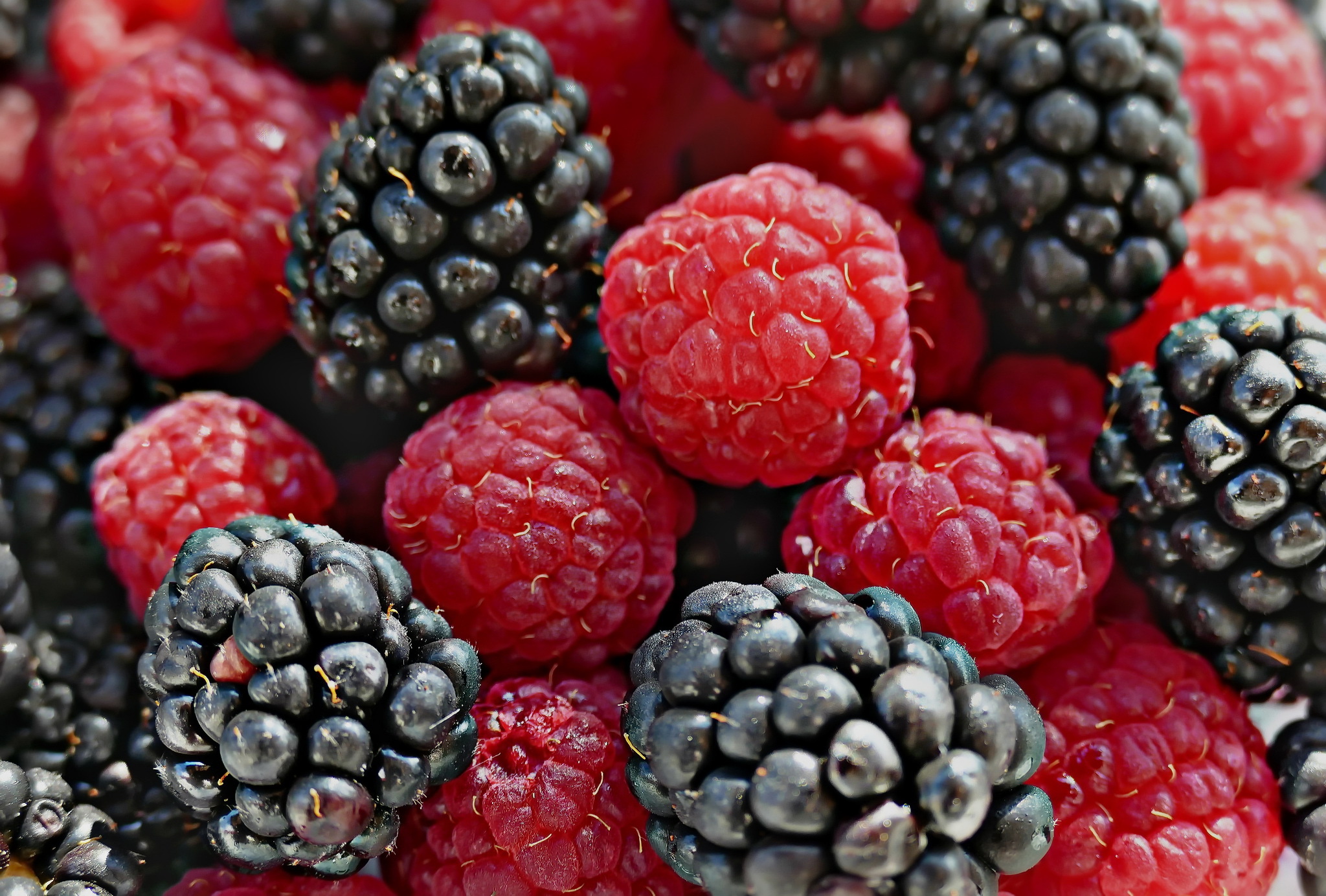 Download mobile wallpaper Food, Raspberry, Blackberry, Close Up, Berry, Fruit for free.