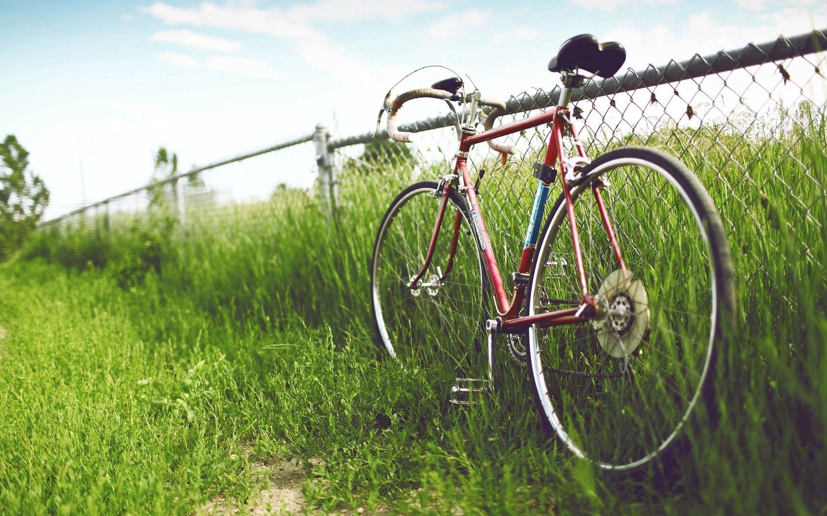 57744 скачать картинку велосипед, лето, трава, природа, поле, забор, изгородь - обои и заставки бесплатно