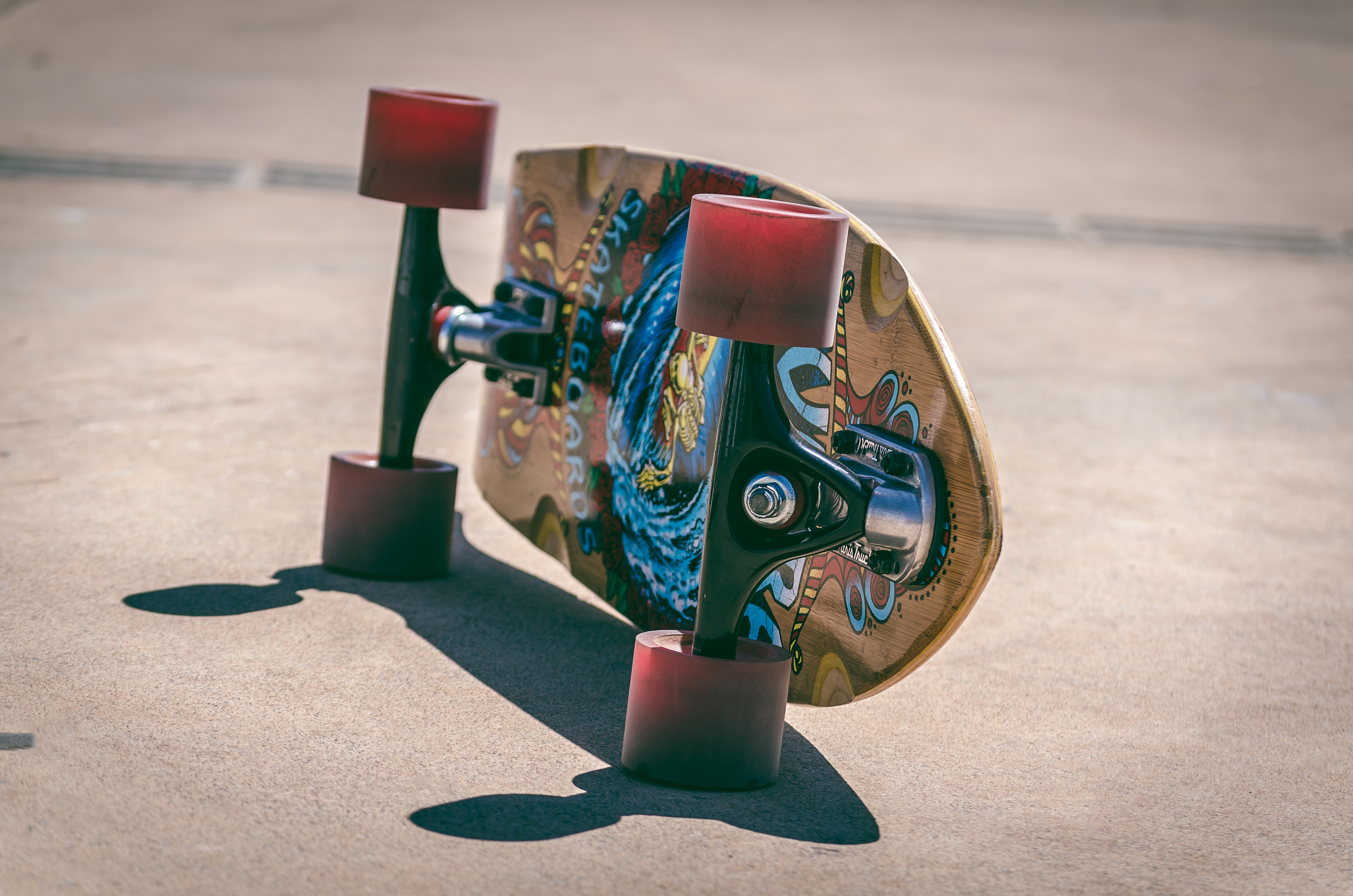 skateboard, sports, shadow, board, wheels