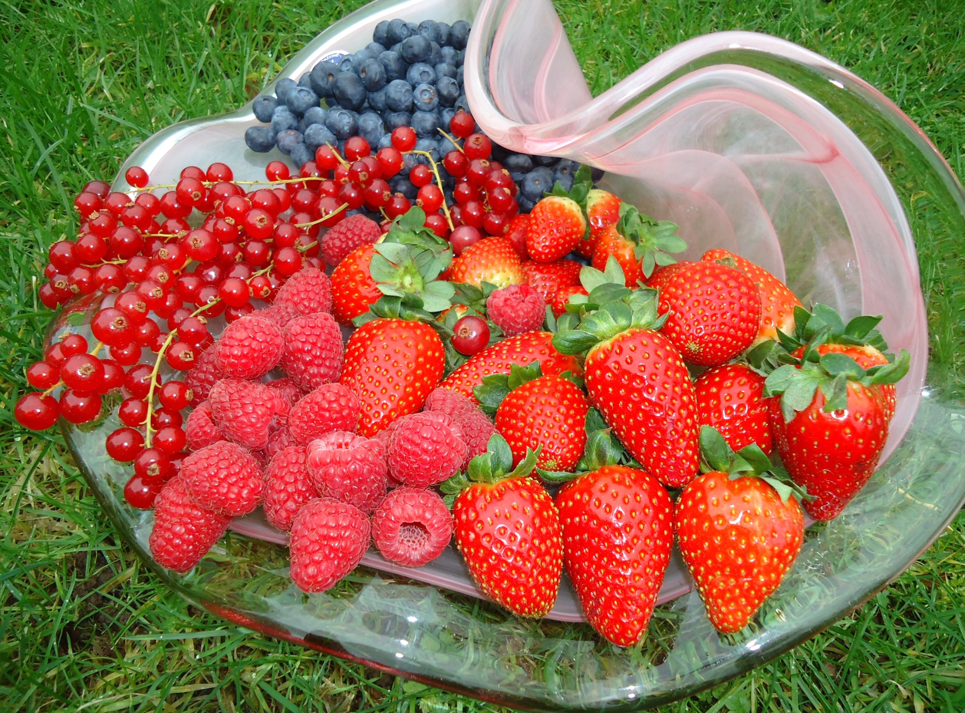 Free download wallpaper Food, Berry on your PC desktop