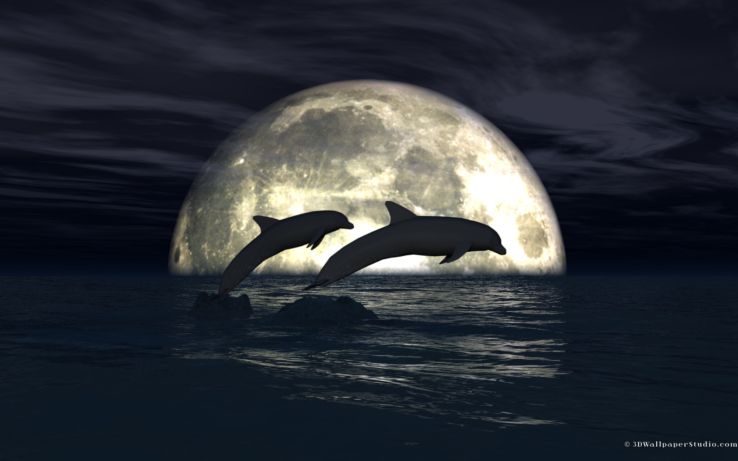 Download mobile wallpaper Animal, Dolphin for free.