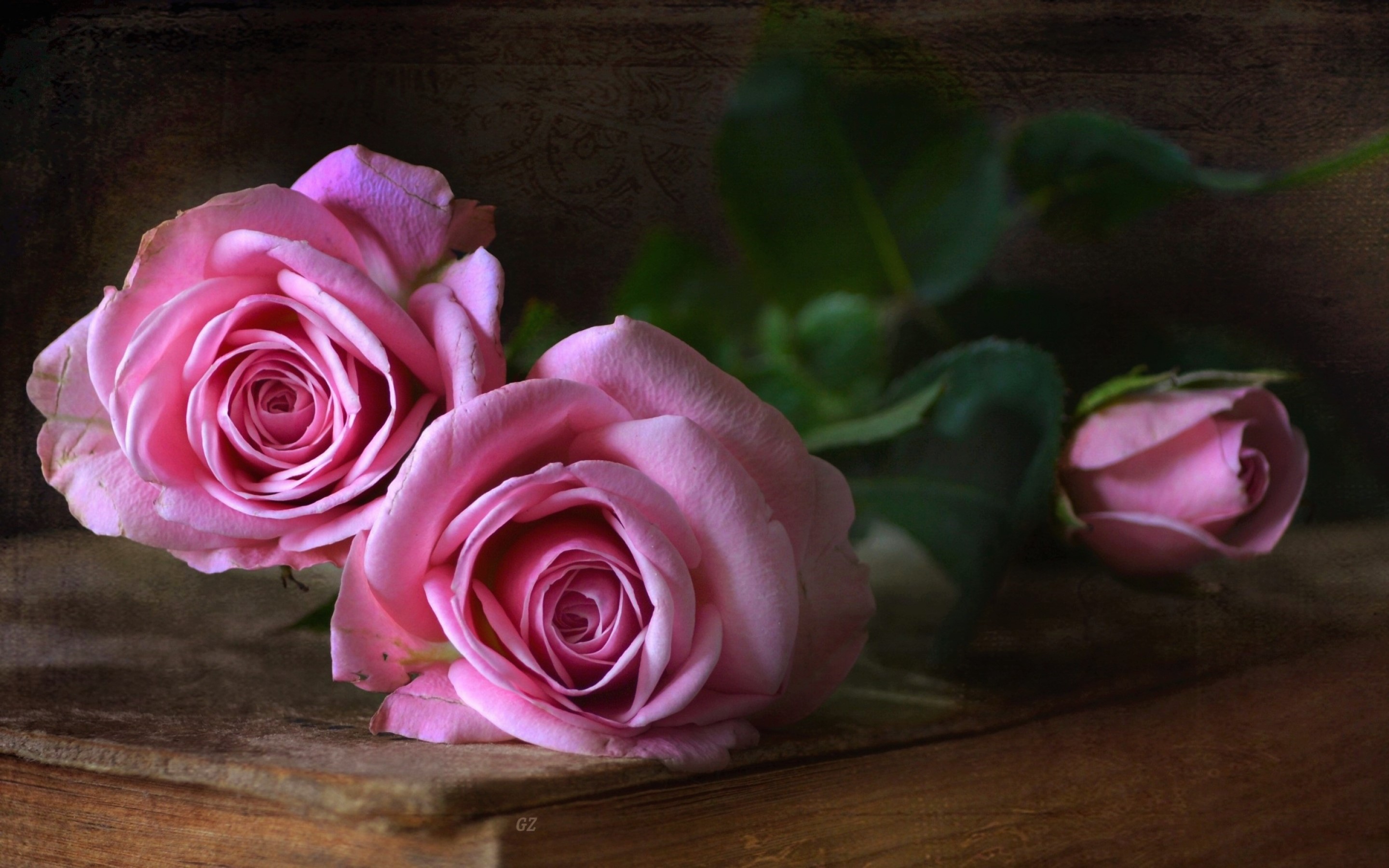 Скачать обои бесплатно Натюрморт, Цветок, Роза, Фотографии, Розовый Цветок, Розовая Роза картинка на рабочий стол ПК
