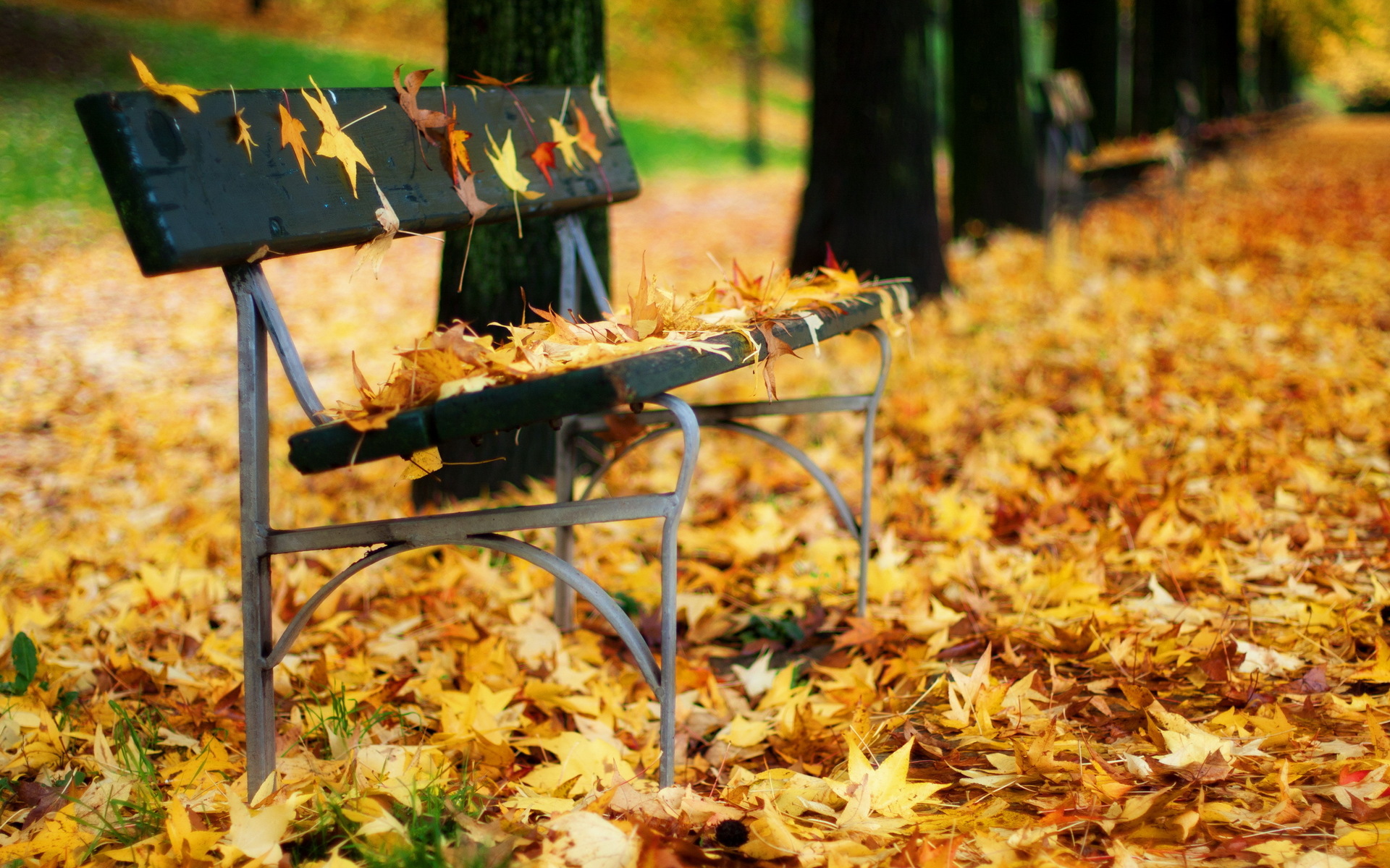Download mobile wallpaper Leaf, Fall, Bench, Season, Man Made for free.
