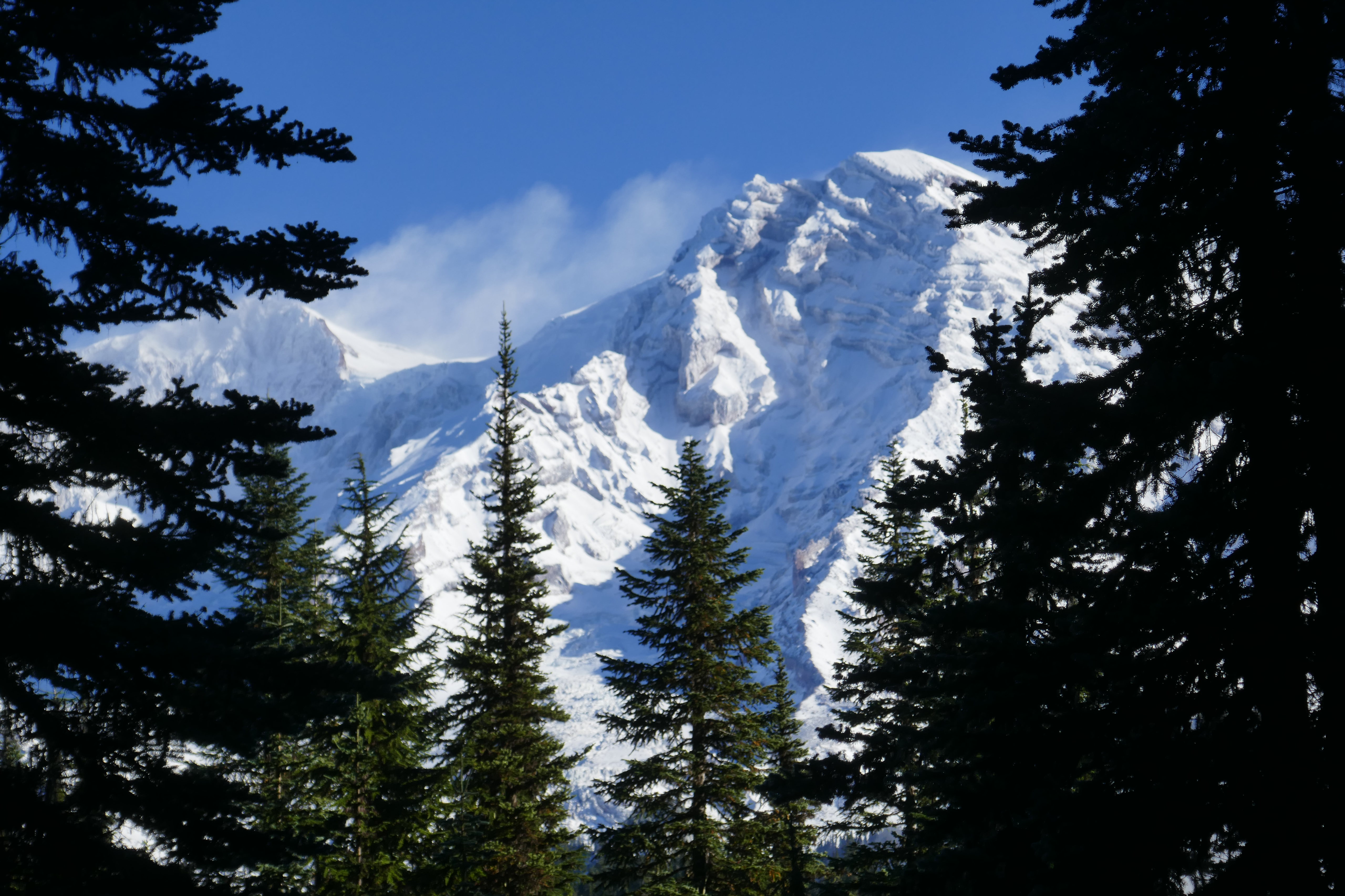 PCデスクトップに自然, 木, 山脈, 雪, ブランチ, 枝, スプルース, モミ, 雪に覆われた, 積雪画像を無料でダウンロード