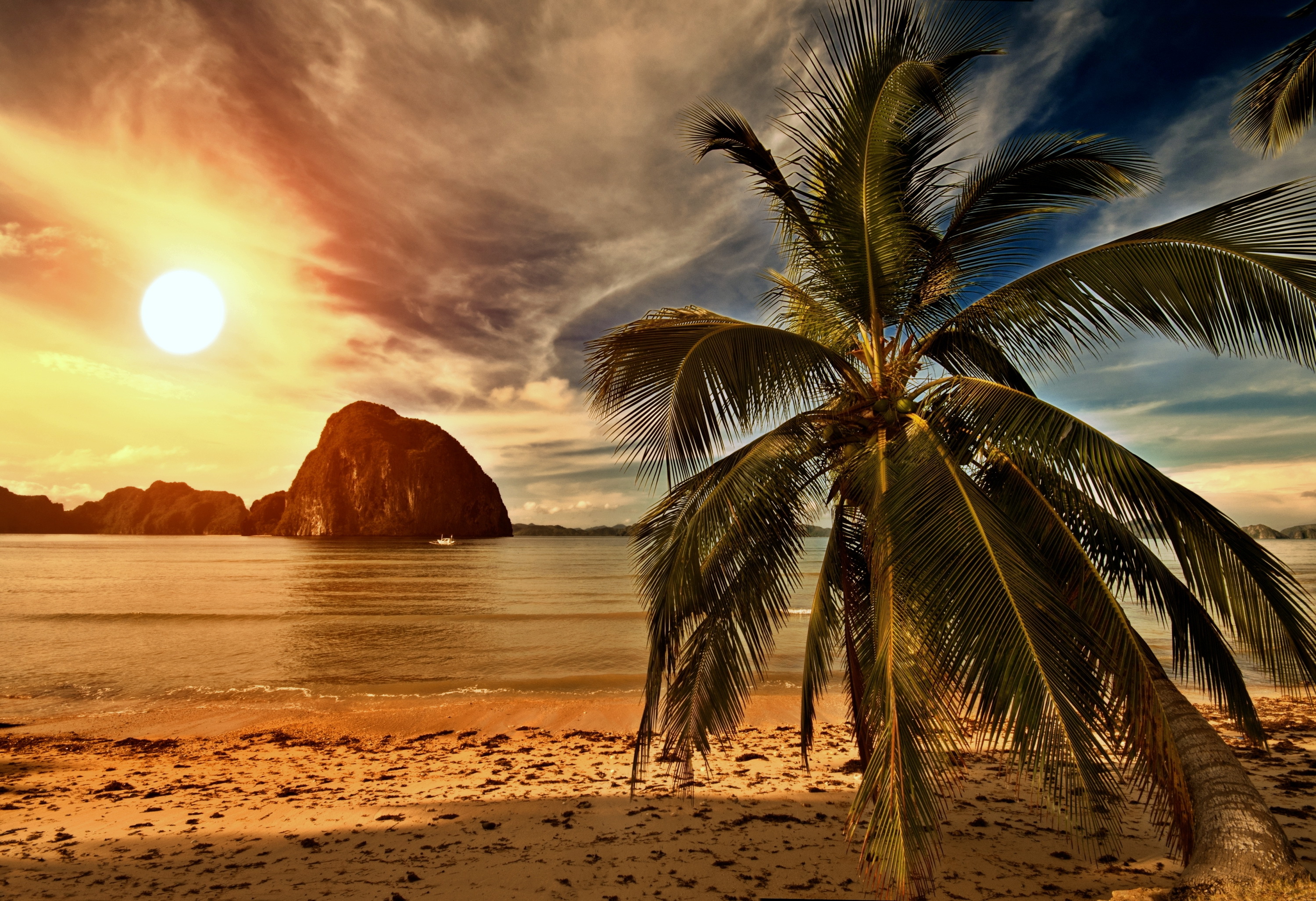 Download mobile wallpaper Sea, Sun, Tropics, Tropical, Photography, Palm Tree for free.