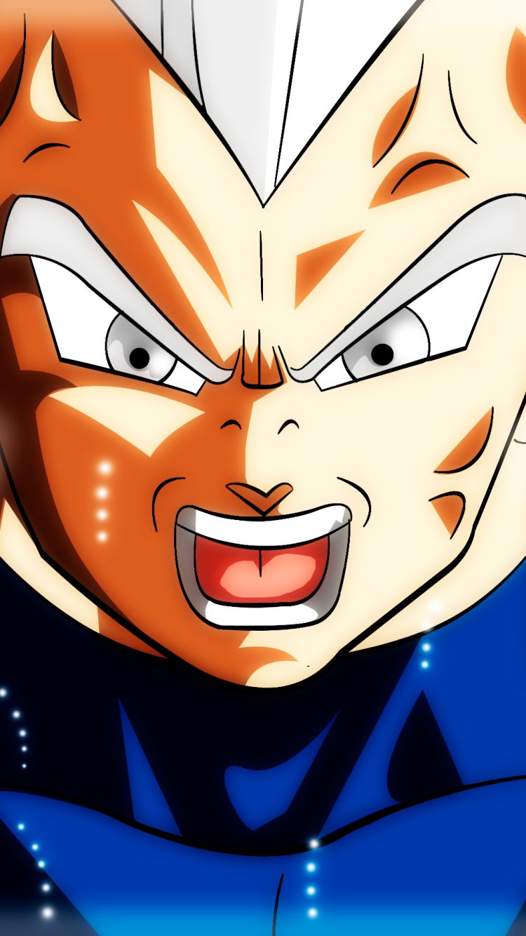 Download mobile wallpaper Anime, Dragon Ball, Vegeta (Dragon Ball), Ultra Instinct (Dragon Ball) for free.