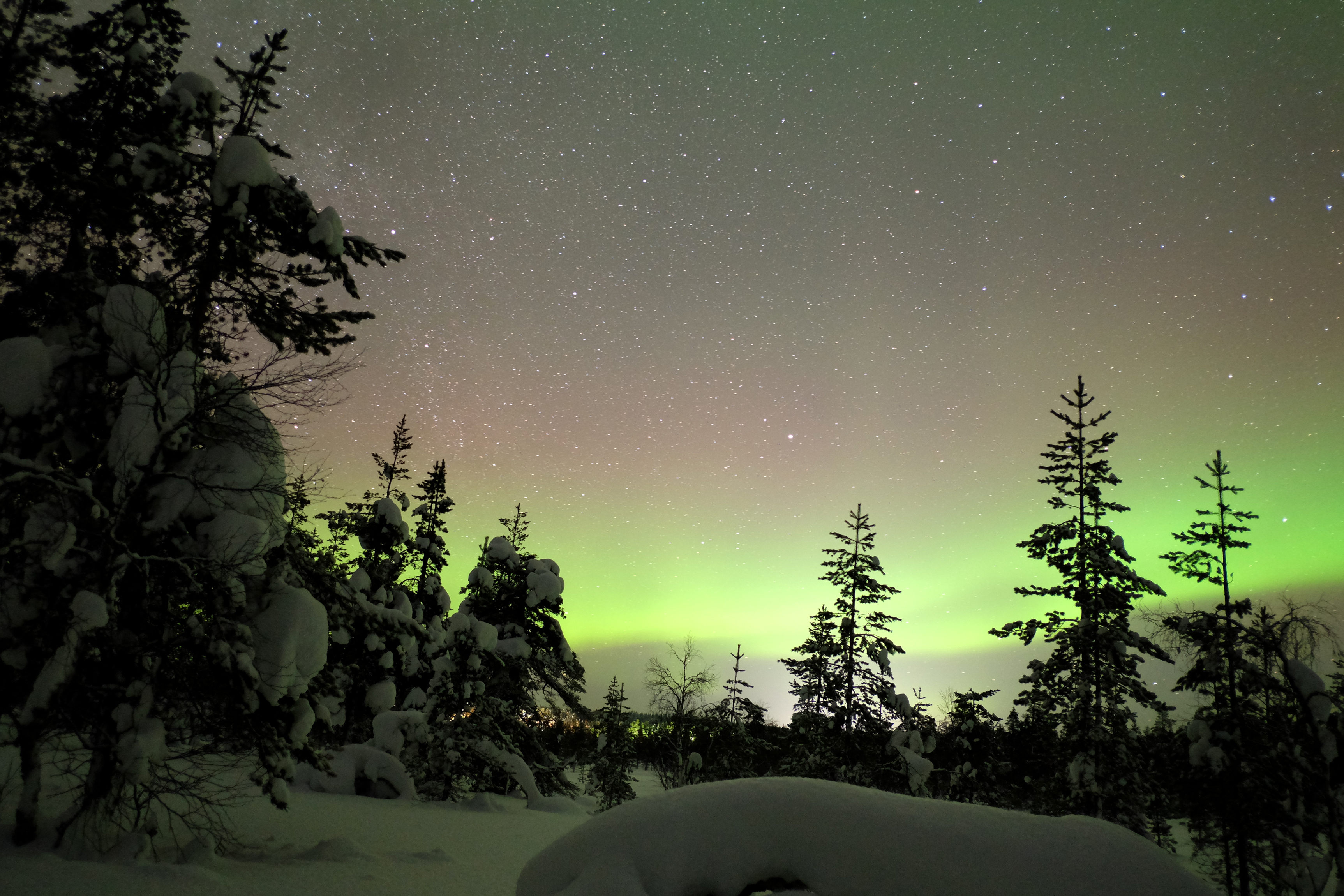 806666 télécharger l'image aurore boréale, finlande, terre/nature, hiver, forêt, neiger, etoiles - fonds d'écran et économiseurs d'écran gratuits