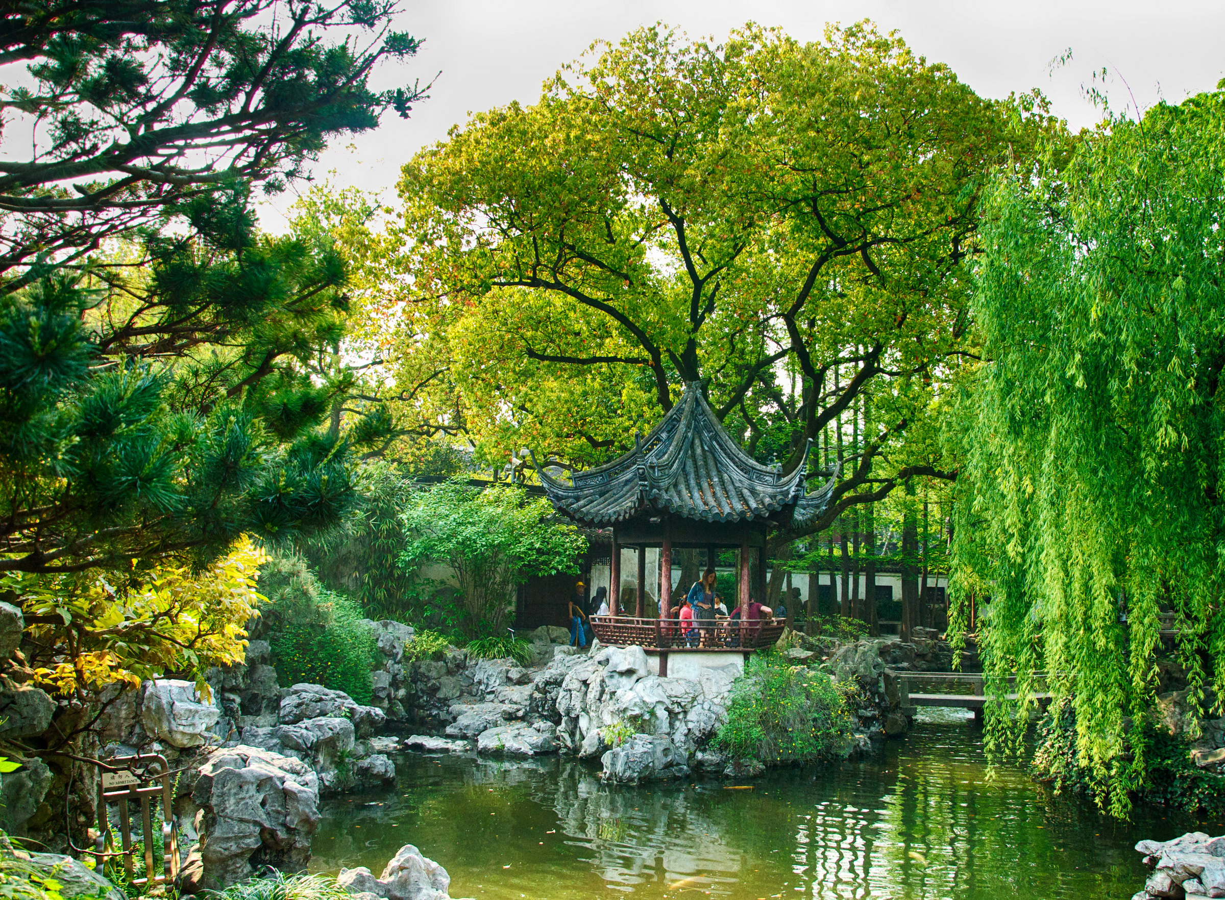140100 скачать обои природа, китай, шанхай, пруд, парк, деревья - заставки и картинки бесплатно