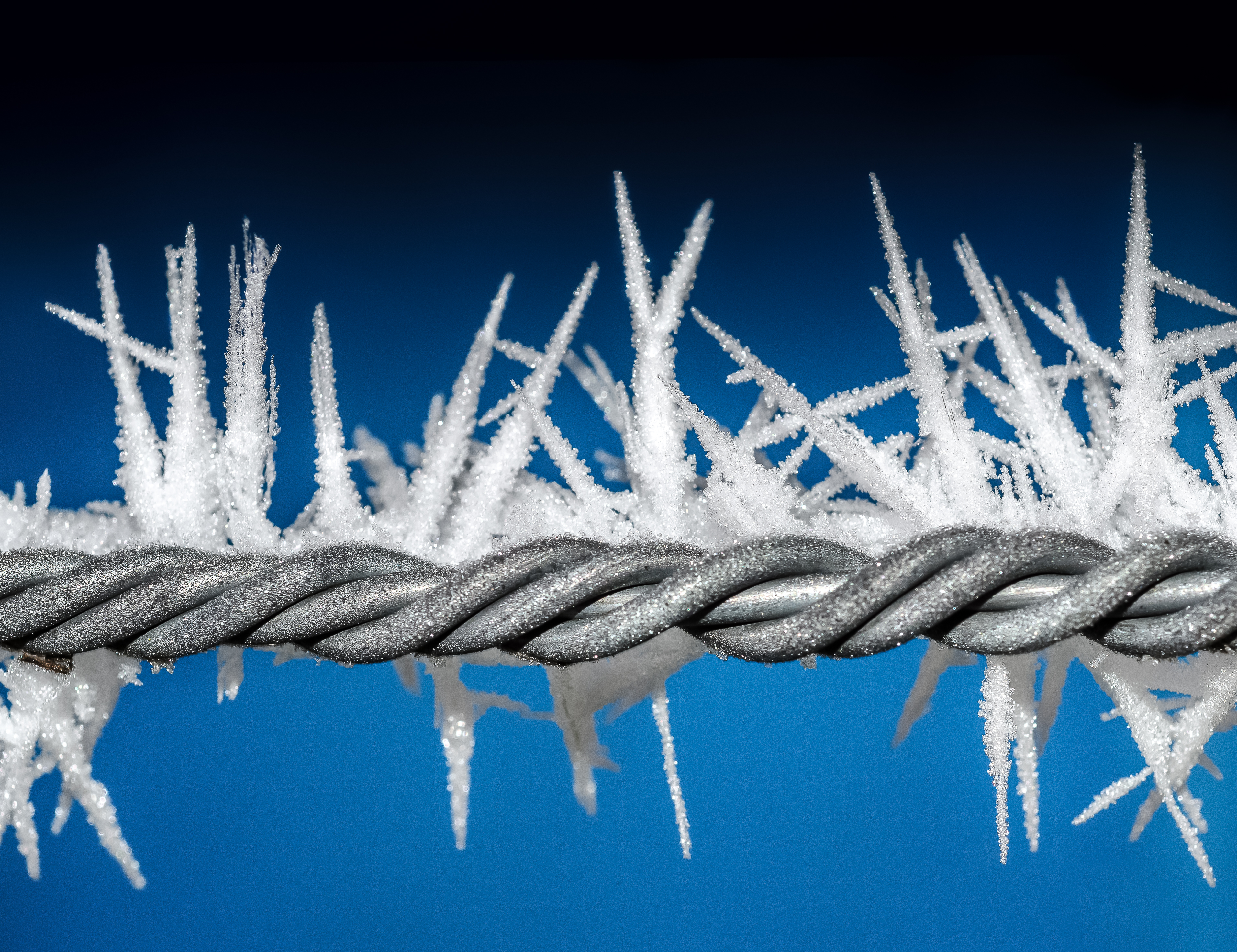 snow, macro, frost, hoarfrost, wire mobile wallpaper