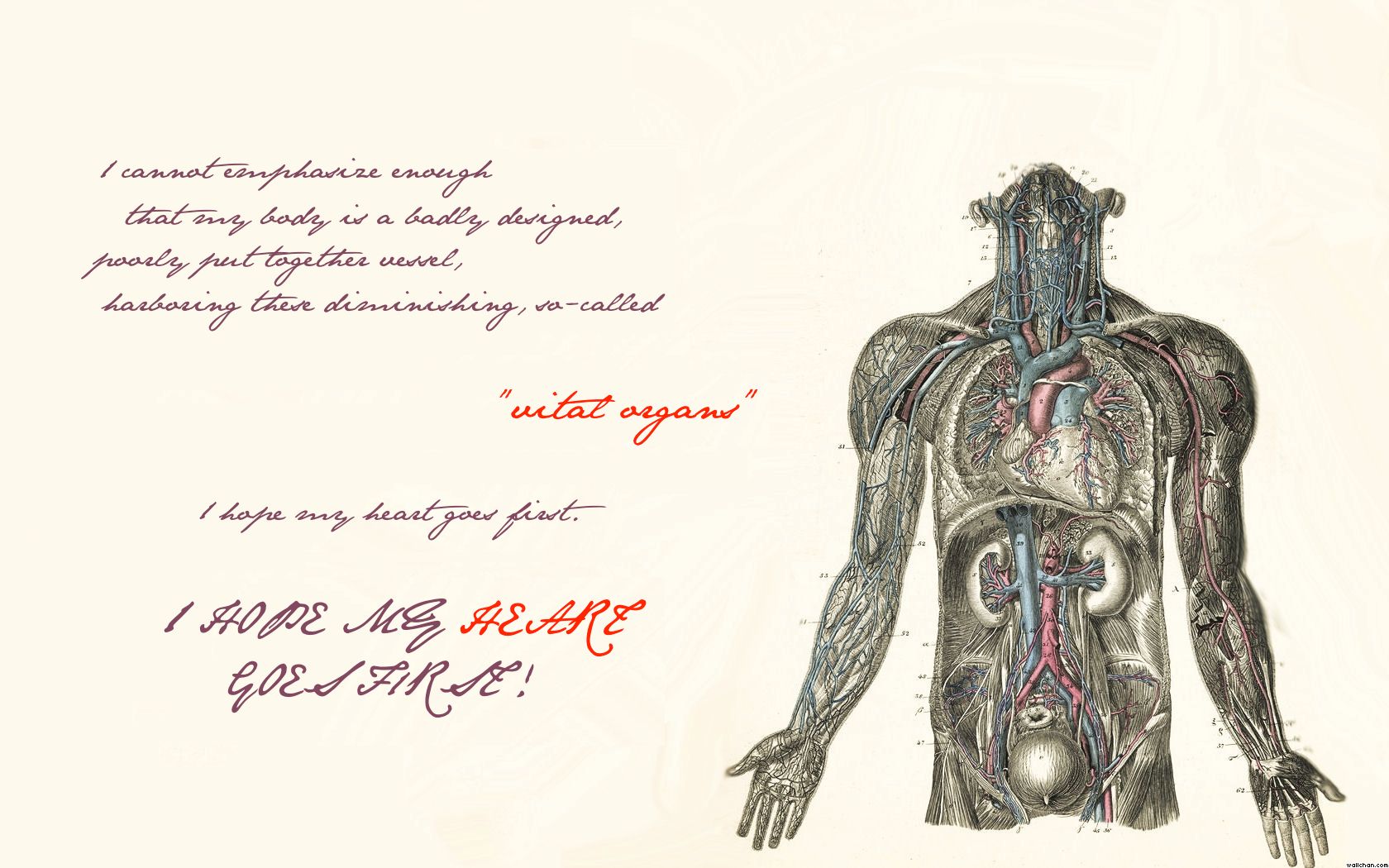 Descarga gratis la imagen Artístico, Anatomía en el escritorio de tu PC