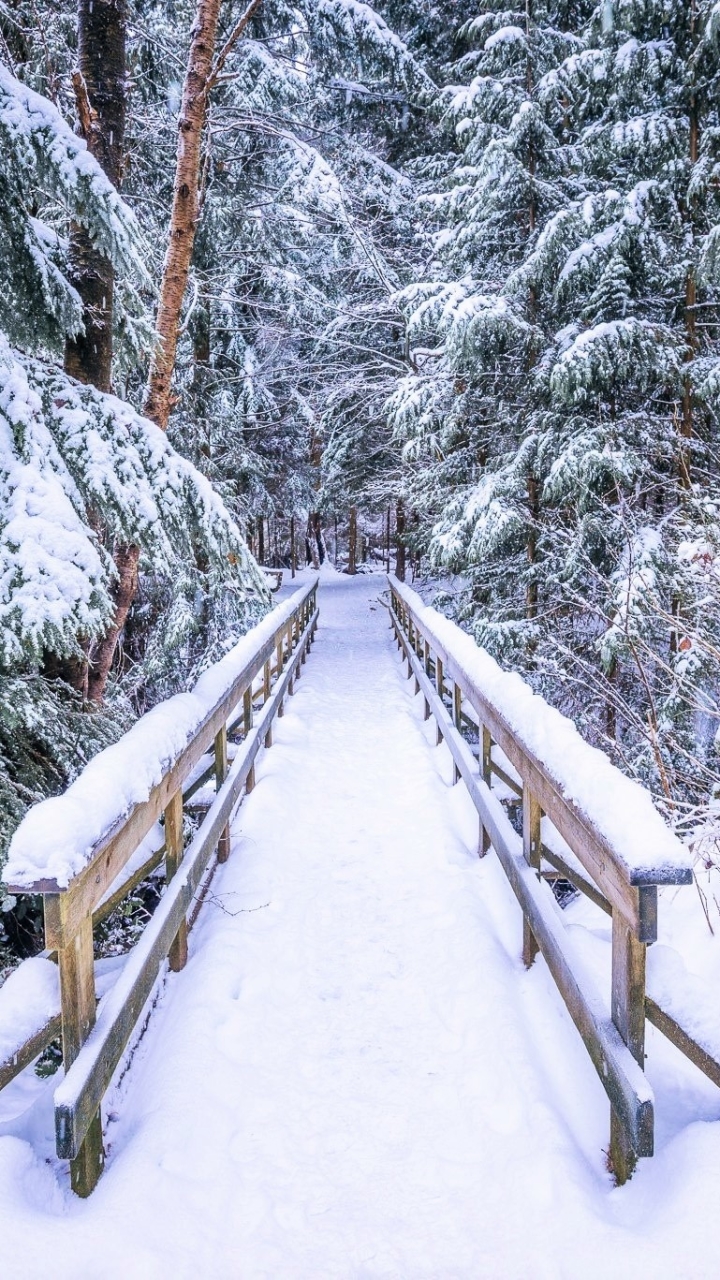 Download mobile wallpaper Winter, Snow, Forest, Bridge, Photography for free.