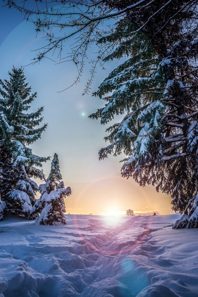 Download mobile wallpaper Winter, Sunset, Earth for free.