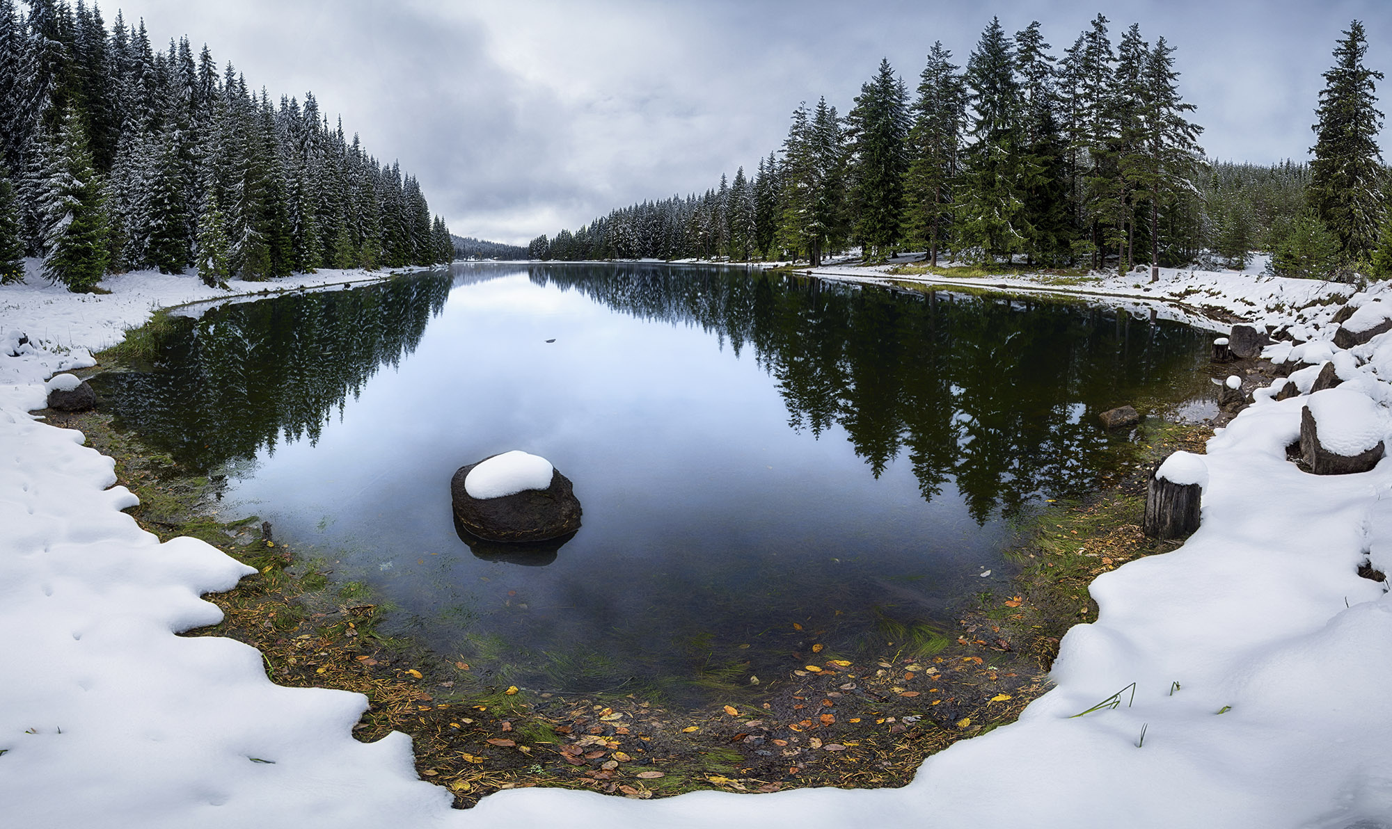 PCデスクトップに冬, 自然, 木, 雪, 湖, 反射, 地球画像を無料でダウンロード