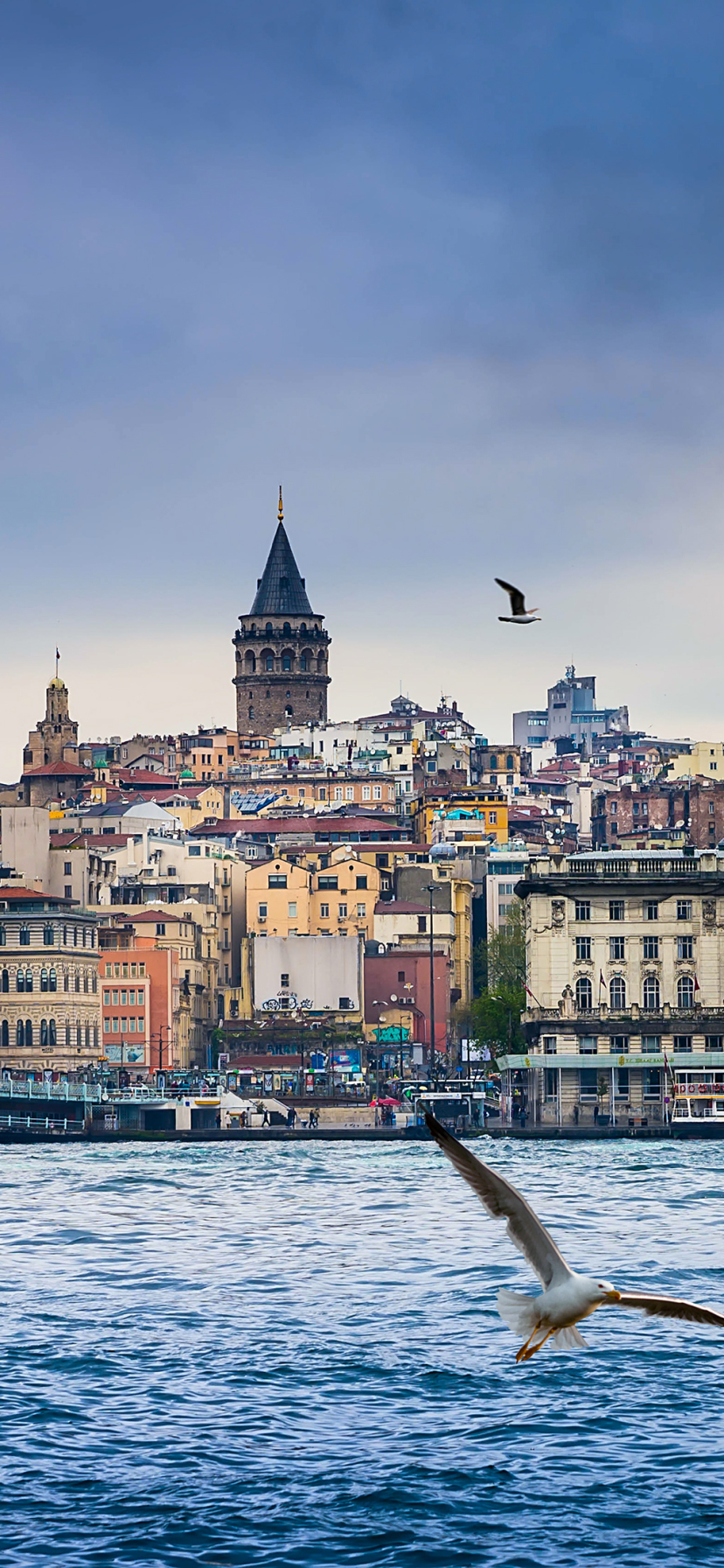 Скачати мобільні шпалери Міста, Місто, Будівля, Чайка, Туреччина, Стамбул, Створено Людиною, Будинок безкоштовно.