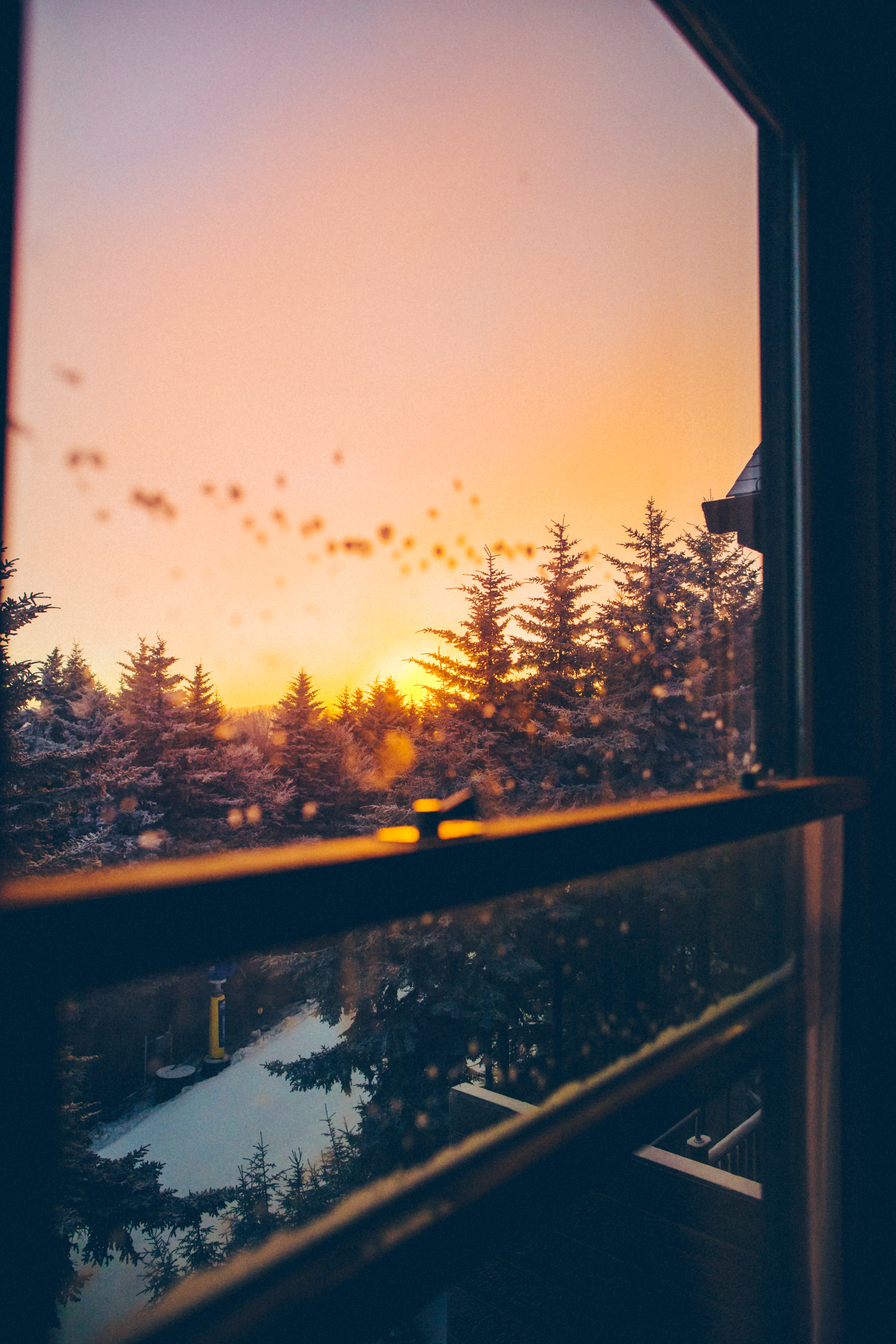 nature, trees, sunset, sky, overview, review, window, view