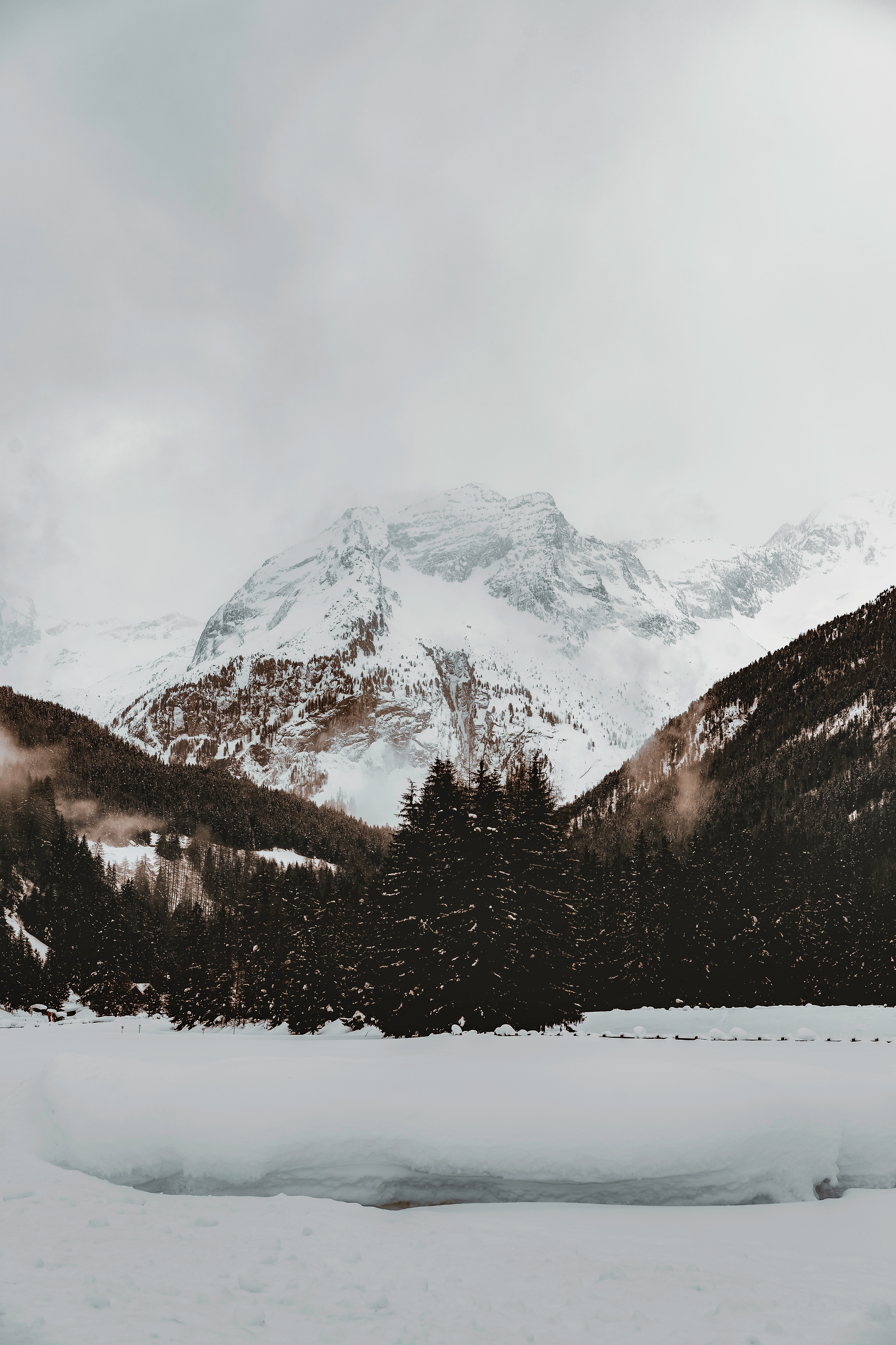 Free download wallpaper Winter, Nature, Trees, Snow, Mountain, Vertex, Top on your PC desktop