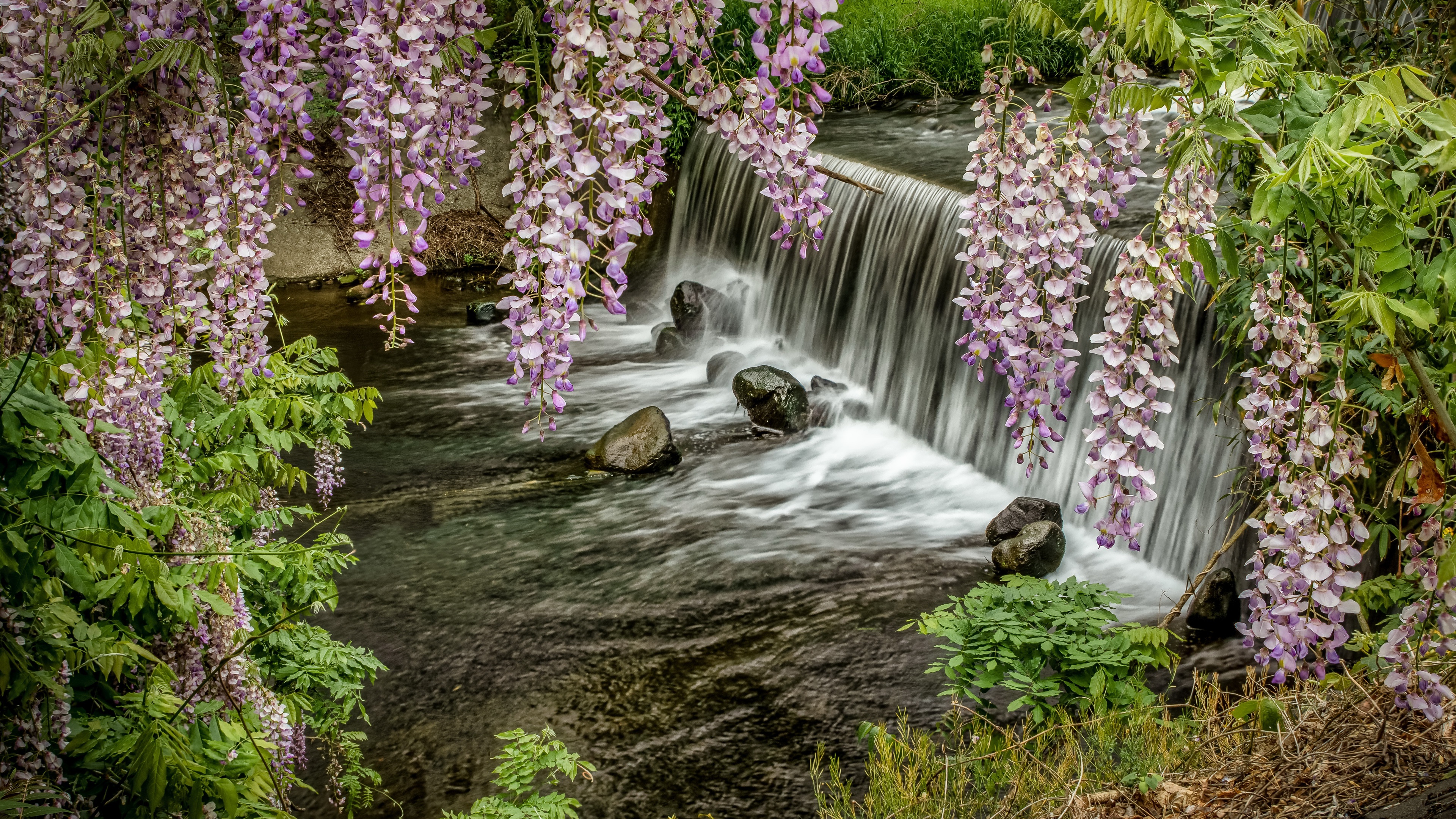 Download mobile wallpaper Waterfalls, Waterfall, Earth, River, Wisteria for free.