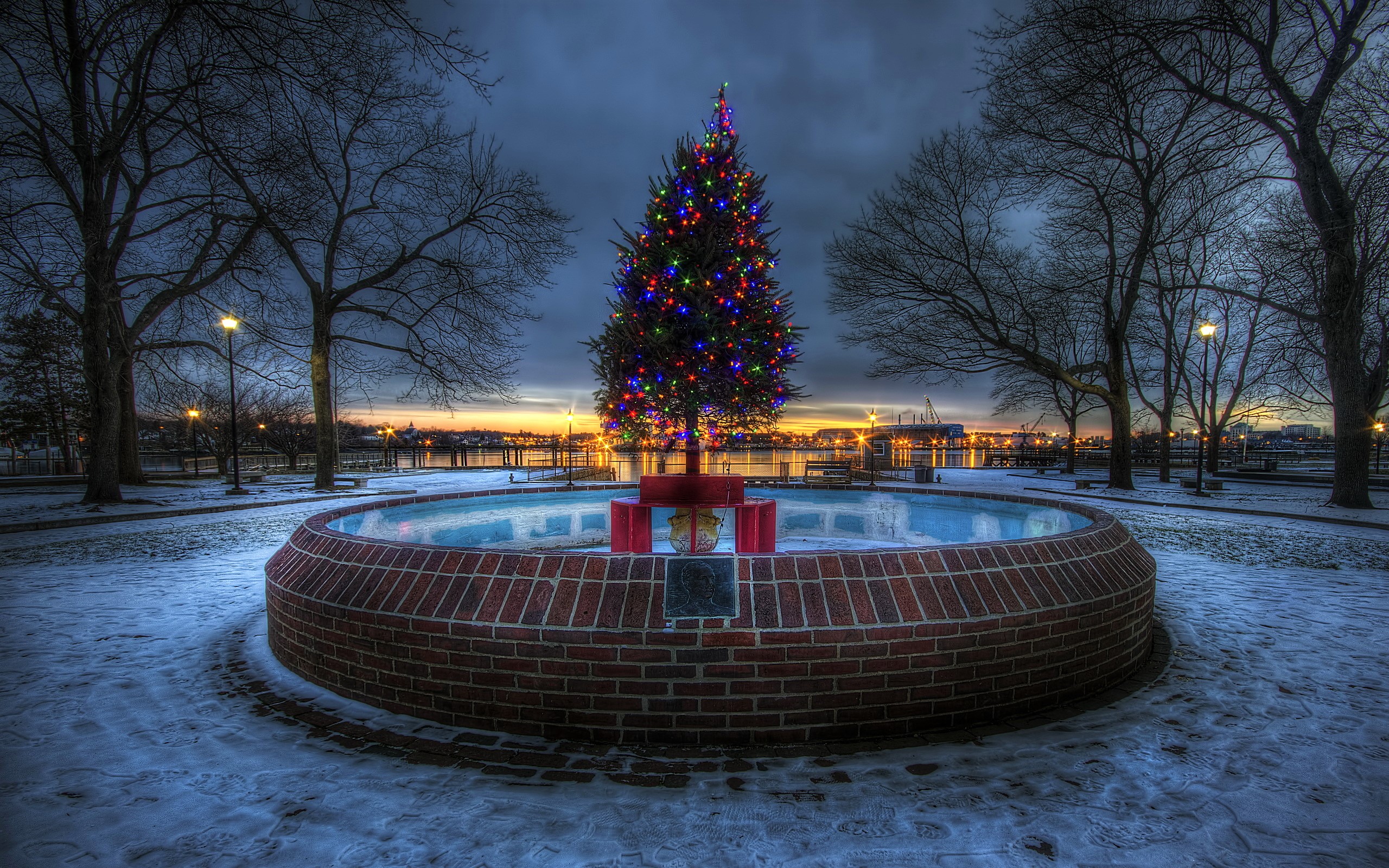 Laden Sie das Feiertage, Weihnachten, Licht, Weihnachtsbaum, Nacht-Bild kostenlos auf Ihren PC-Desktop herunter