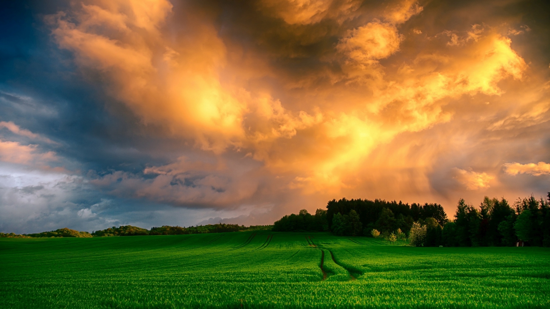 Free download wallpaper Sunset, Sky, Earth, Field, Orange (Color) on your PC desktop