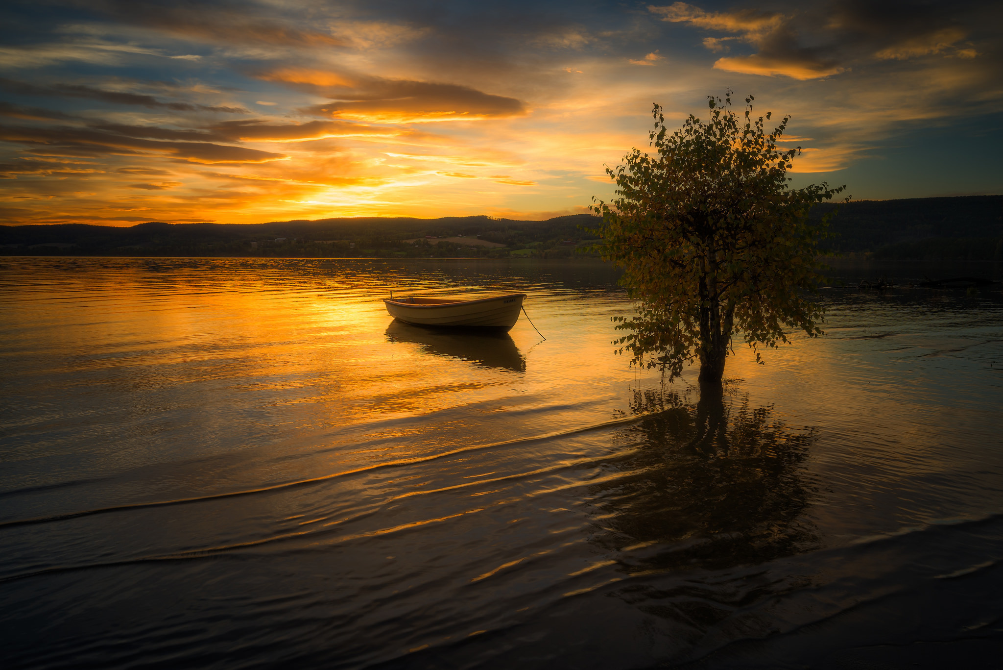 Free download wallpaper Sunset, Lakes, Lake, Boat, Photography, Lonely Tree on your PC desktop