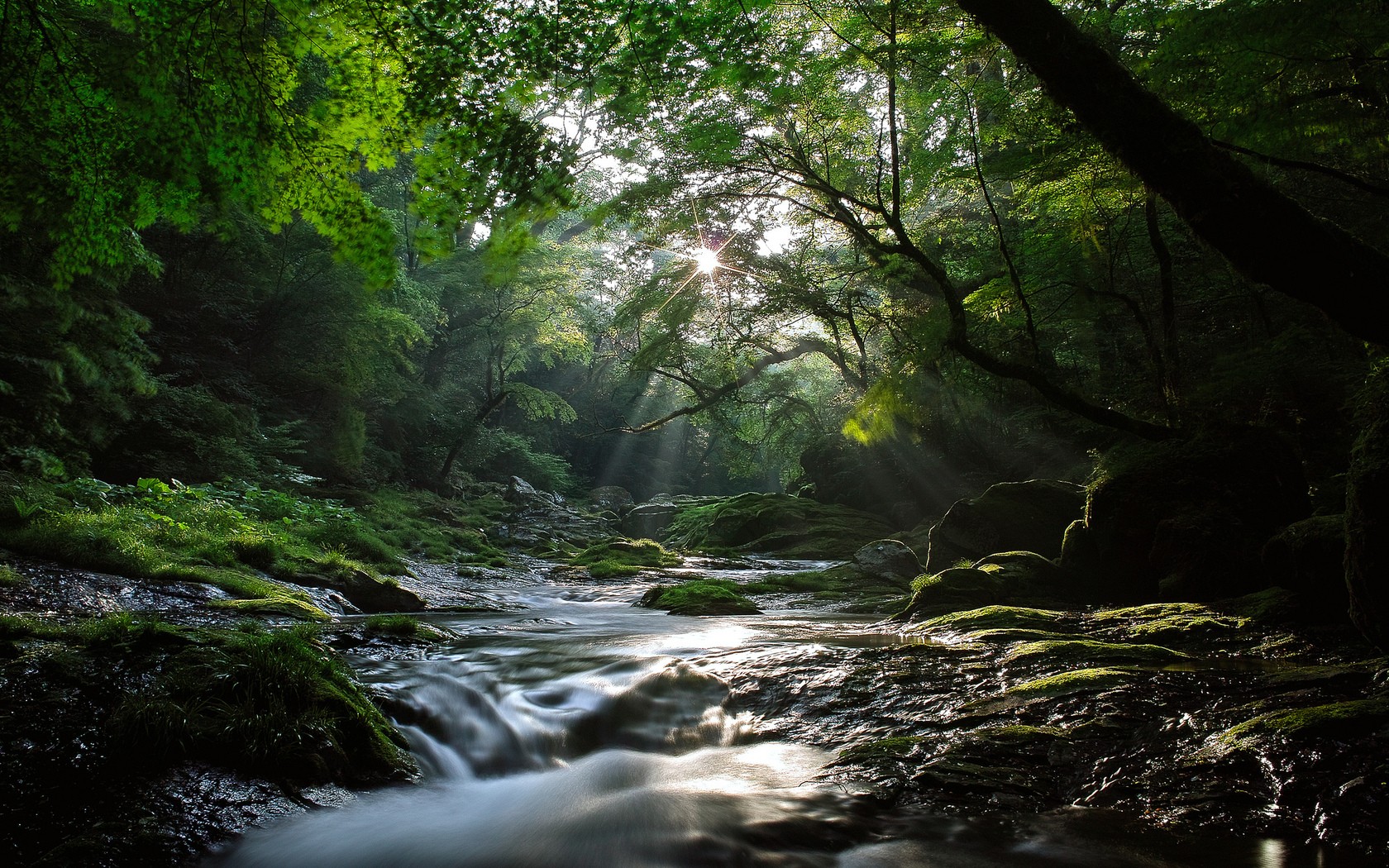 Baixar papel de parede para celular de Corrente, Terra/natureza gratuito.