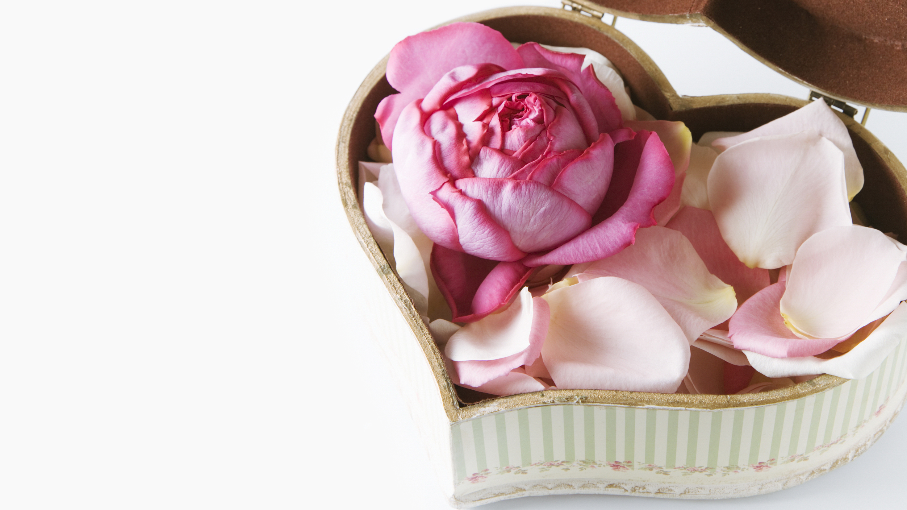 Téléchargez des papiers peints mobile Amour, Saint Valentin, Vacances, Pétale, En Forme De Coeur, Rose Rose gratuitement.