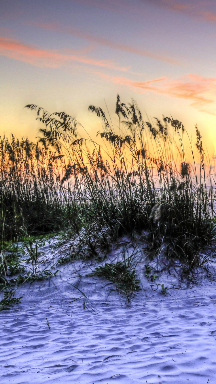Download mobile wallpaper Sunset, Grass, Sea, Beach, Sand, Horizon, Ocean, Earth, Cloud for free.